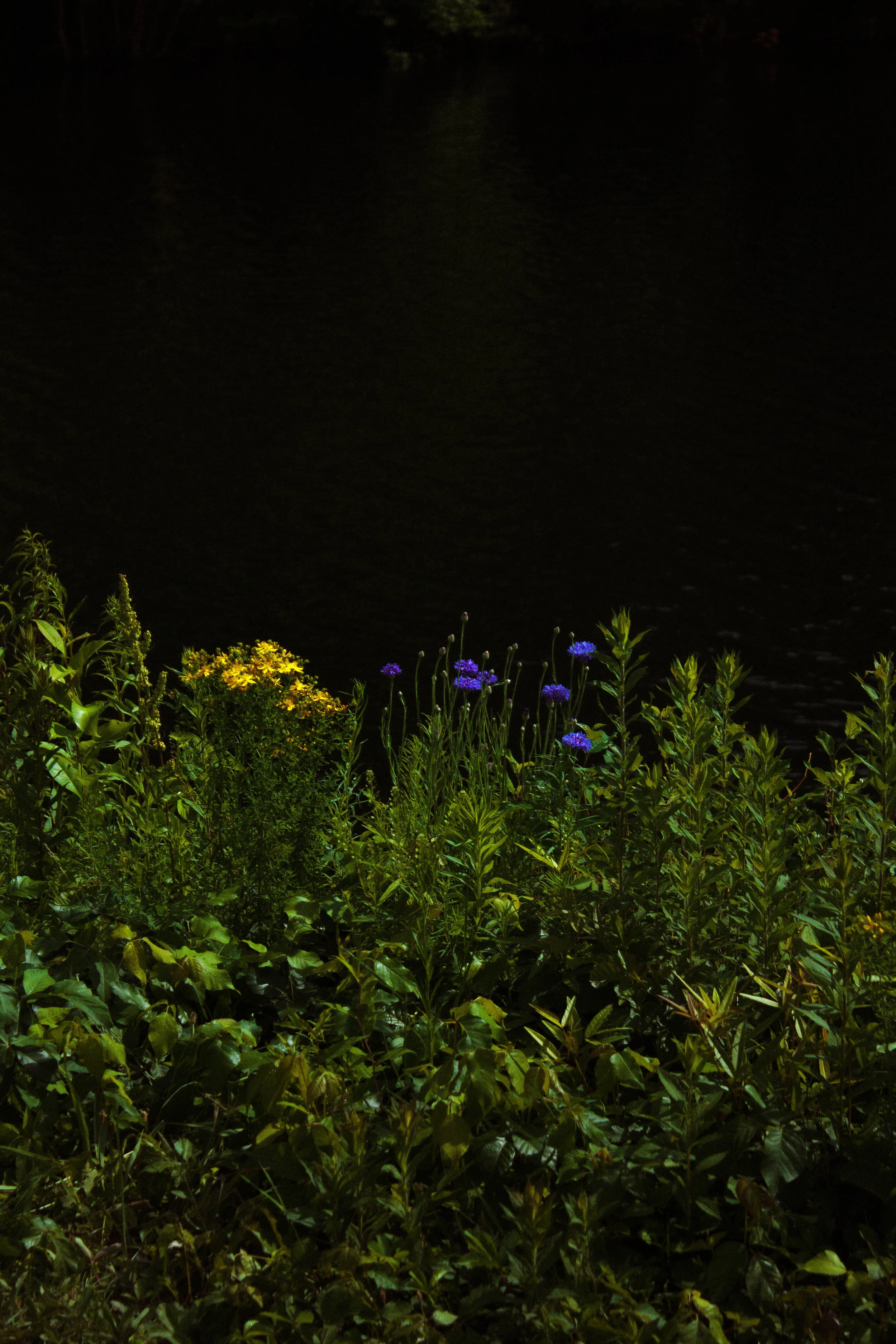 _MG_6377.jpg