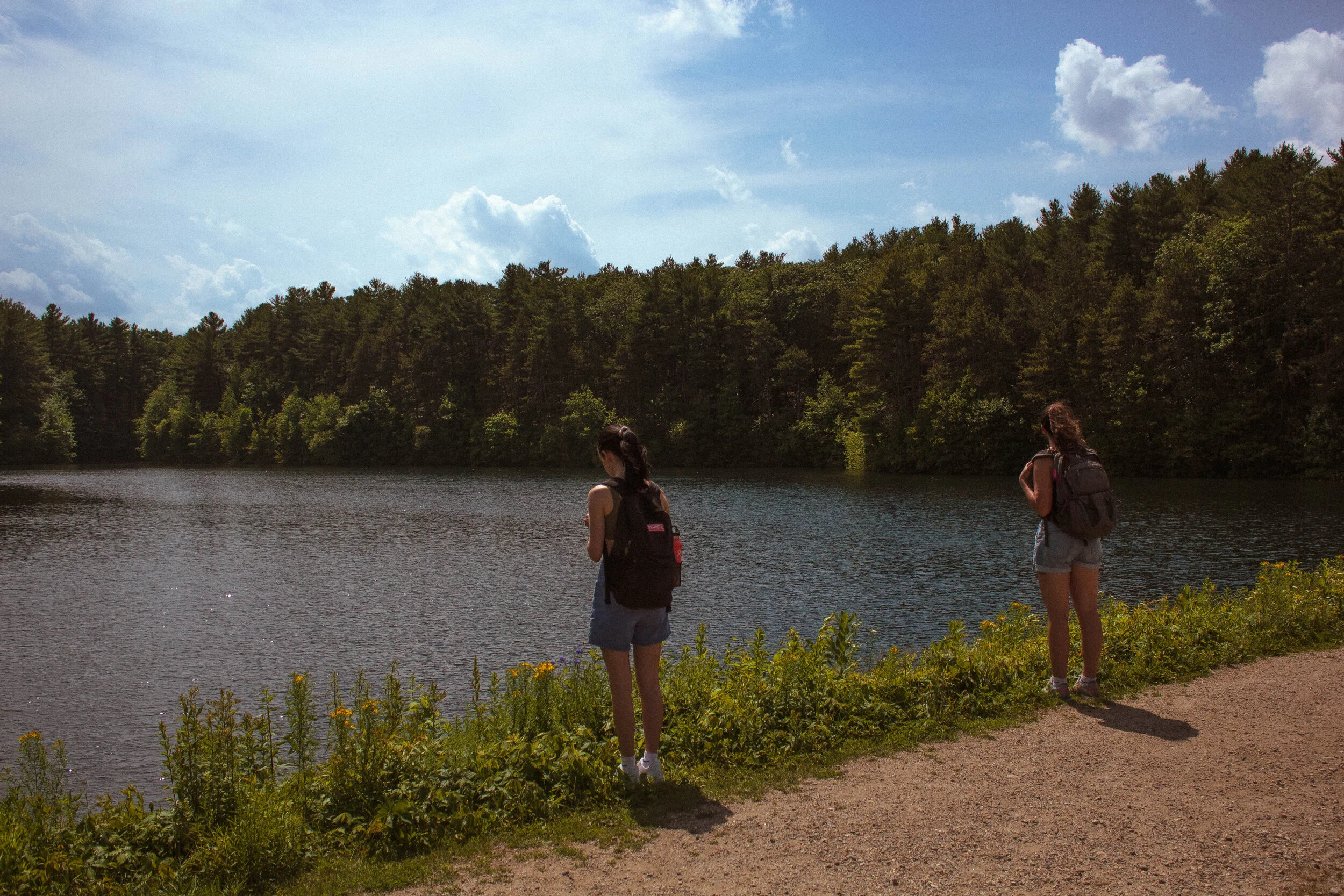 _MG_6331.jpg