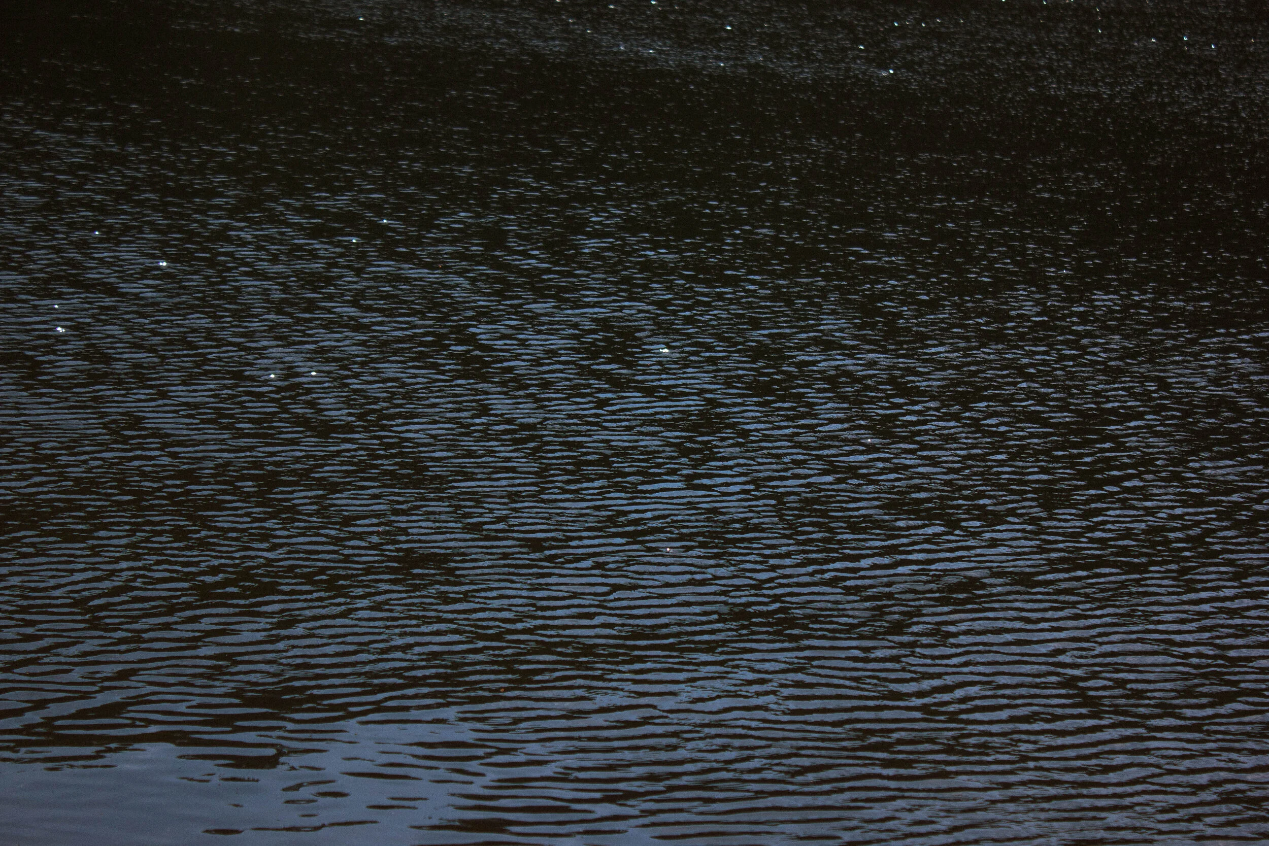 _MG_6383.jpg