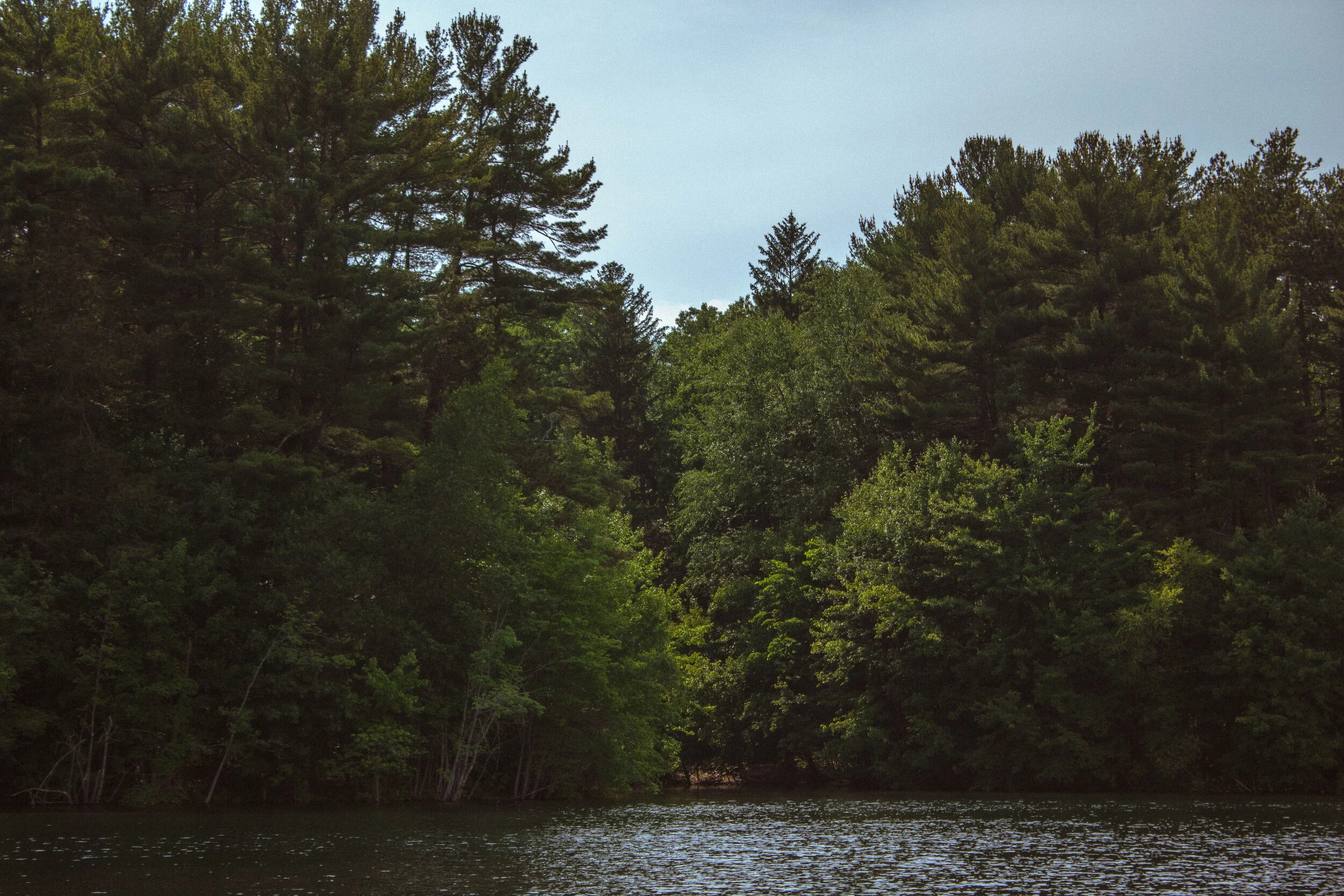 _MG_6384.jpg