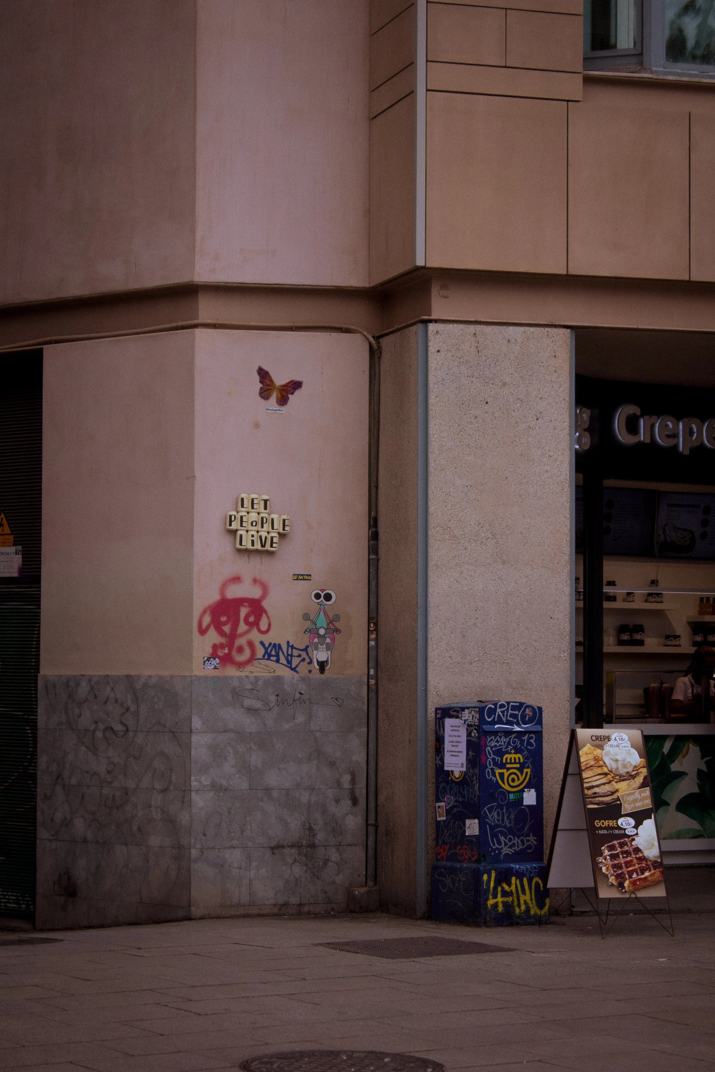 _MG_9498.jpg
