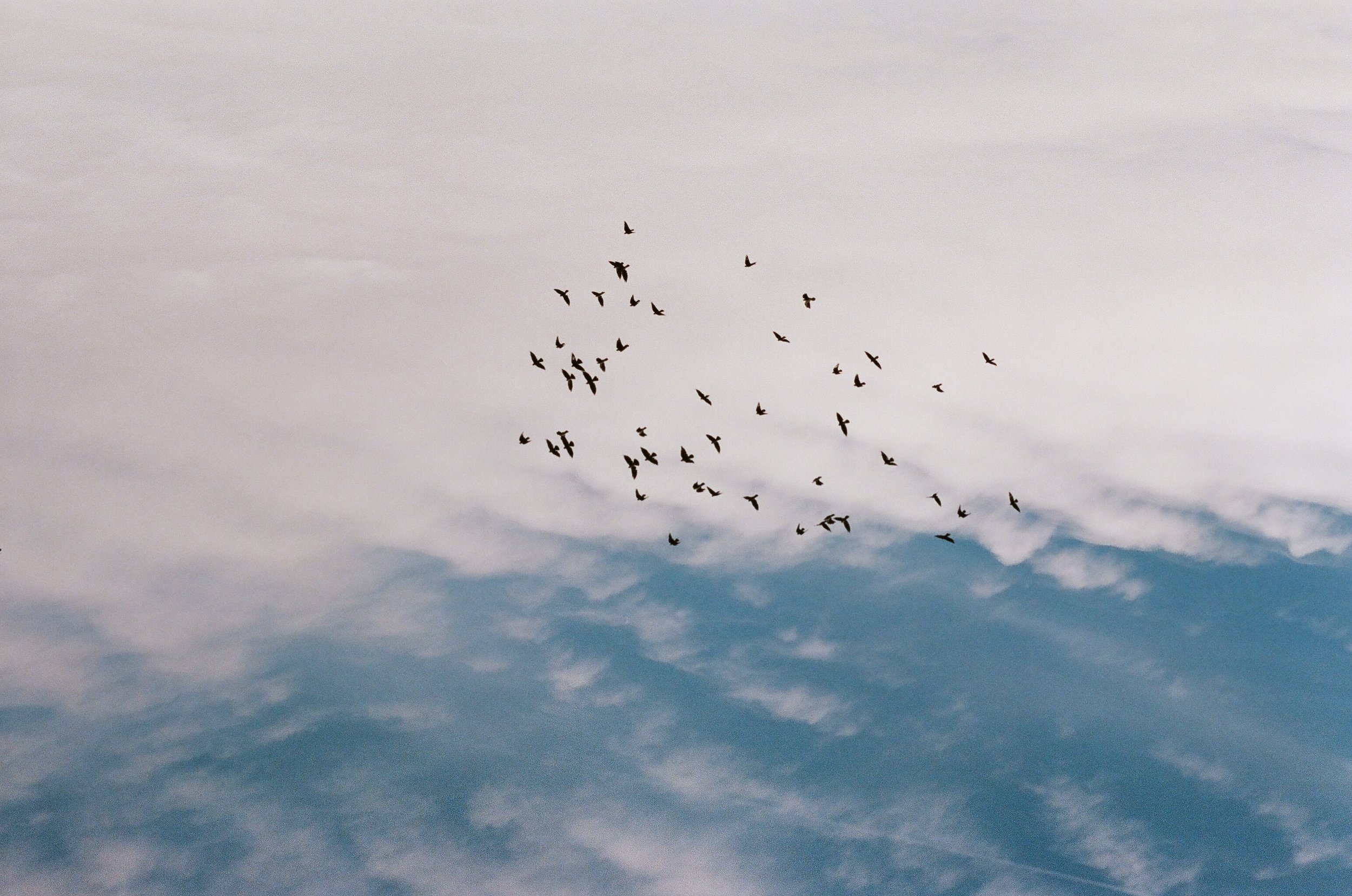 0015_22A.jpg