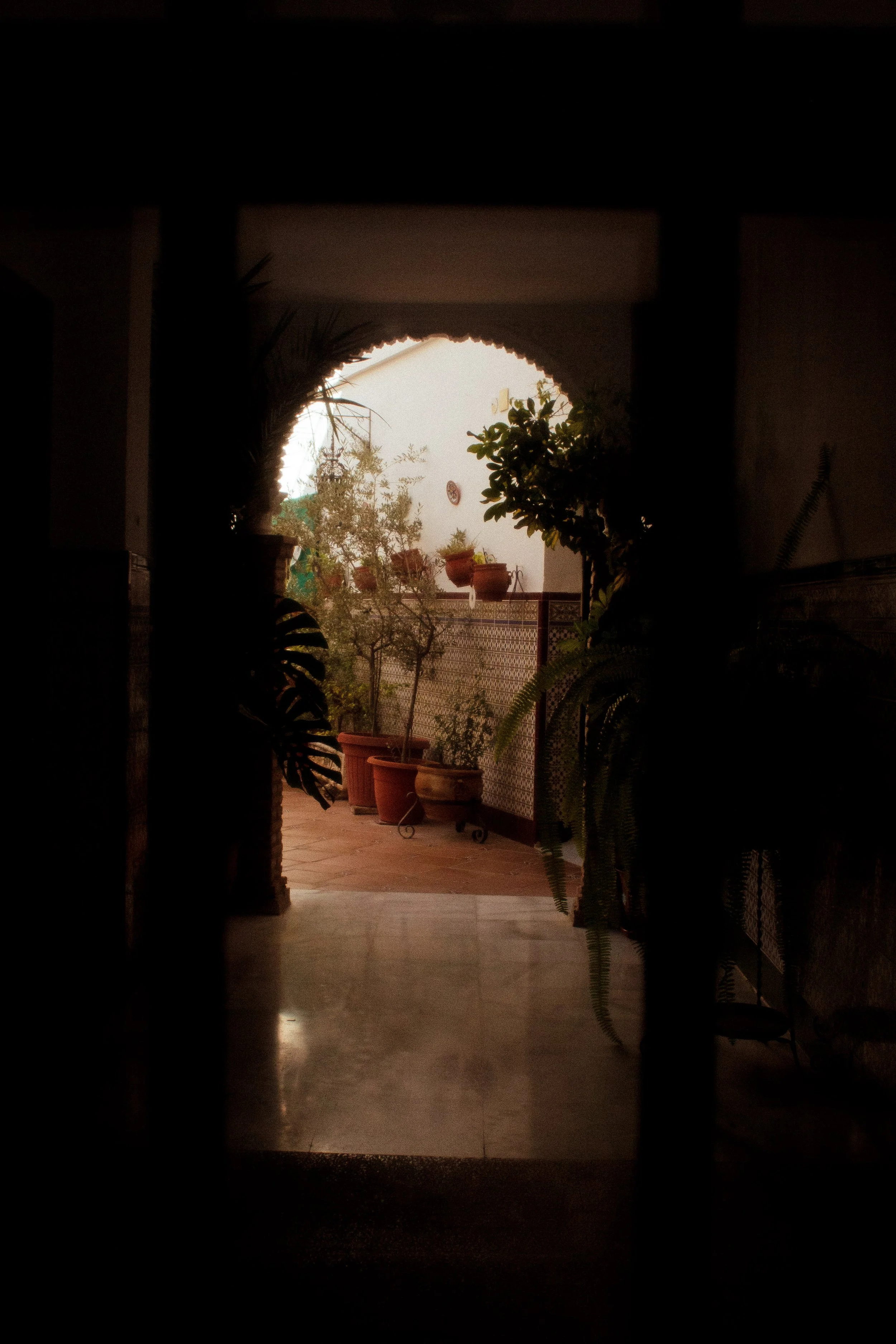 _MG_9947.jpg