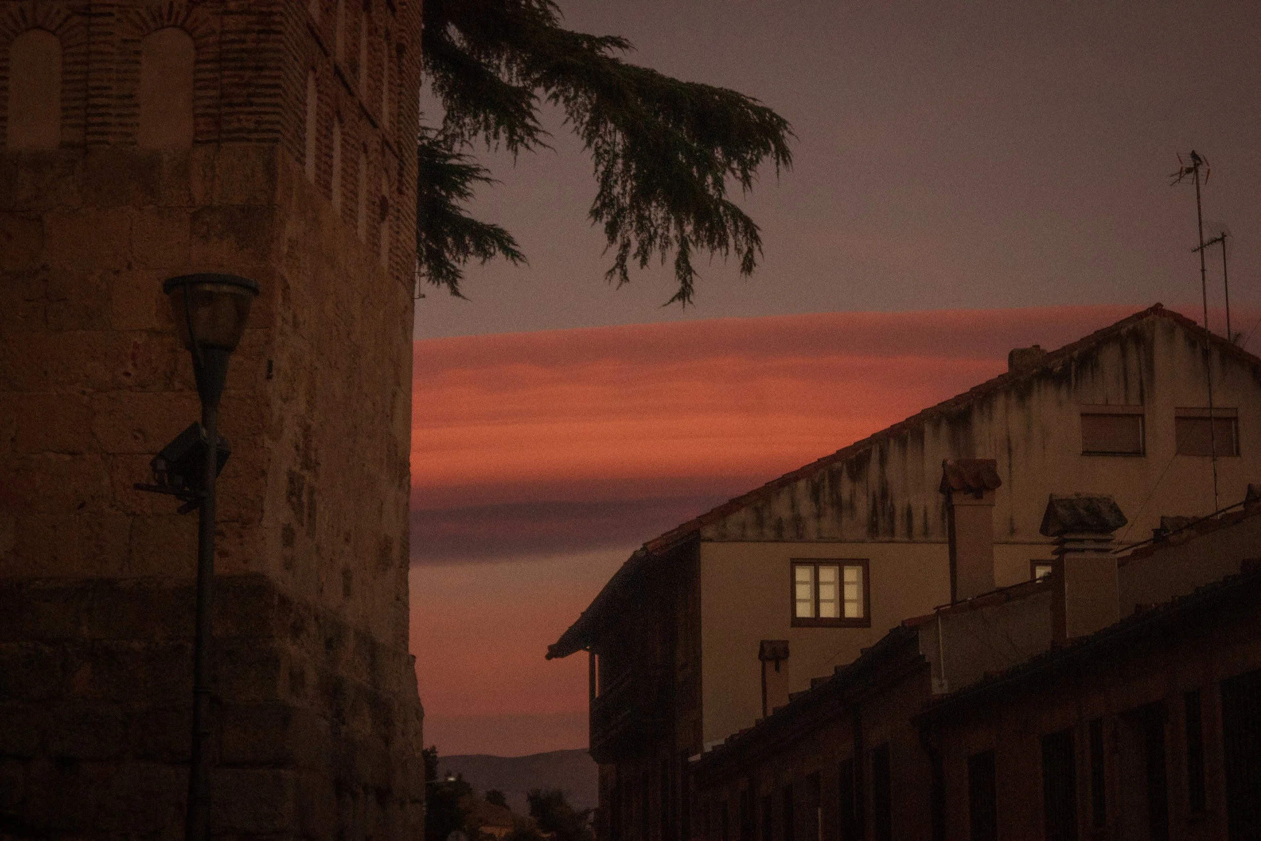 _MG_9584.jpg