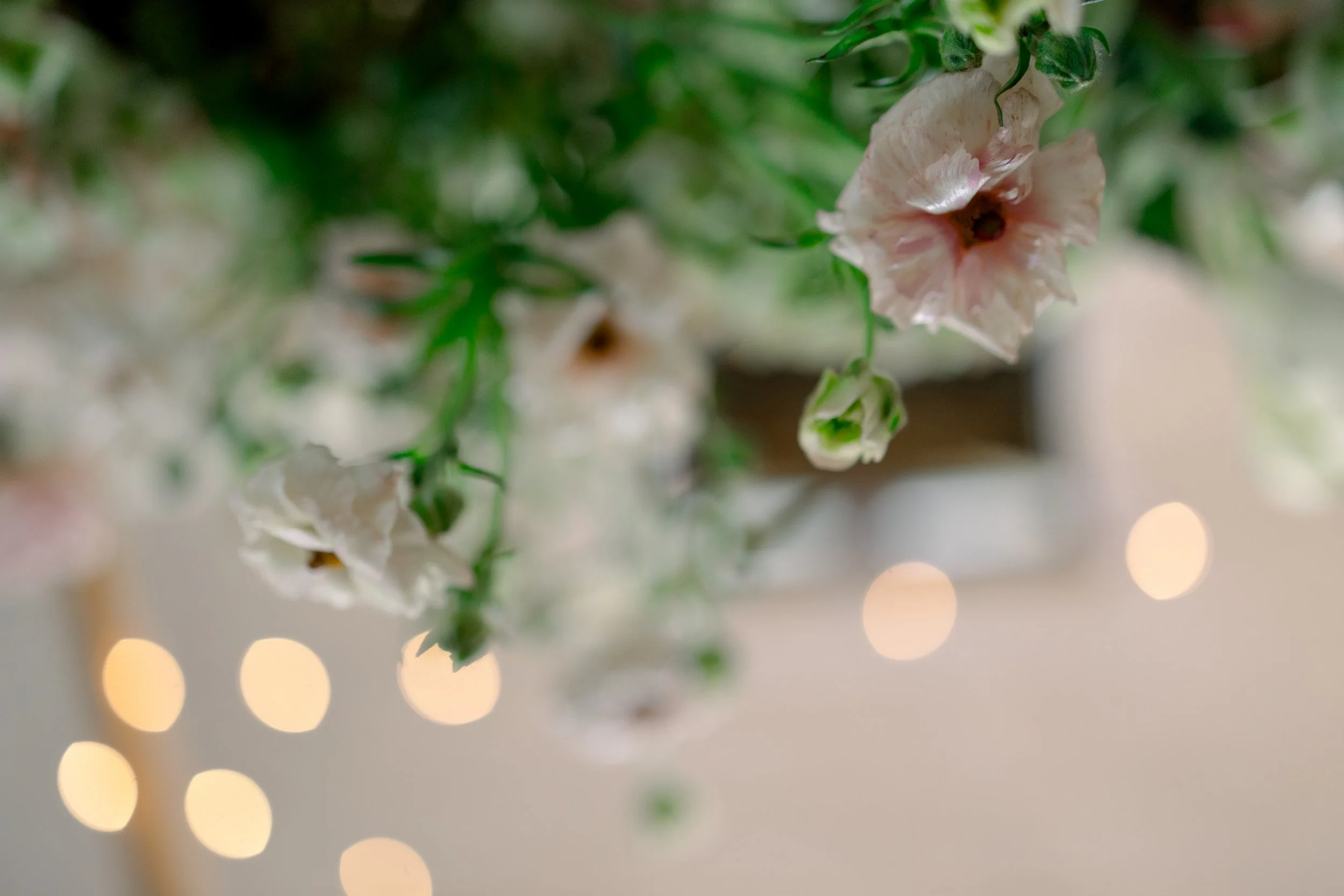 Wedding and Event Venue — Marengo Lakes