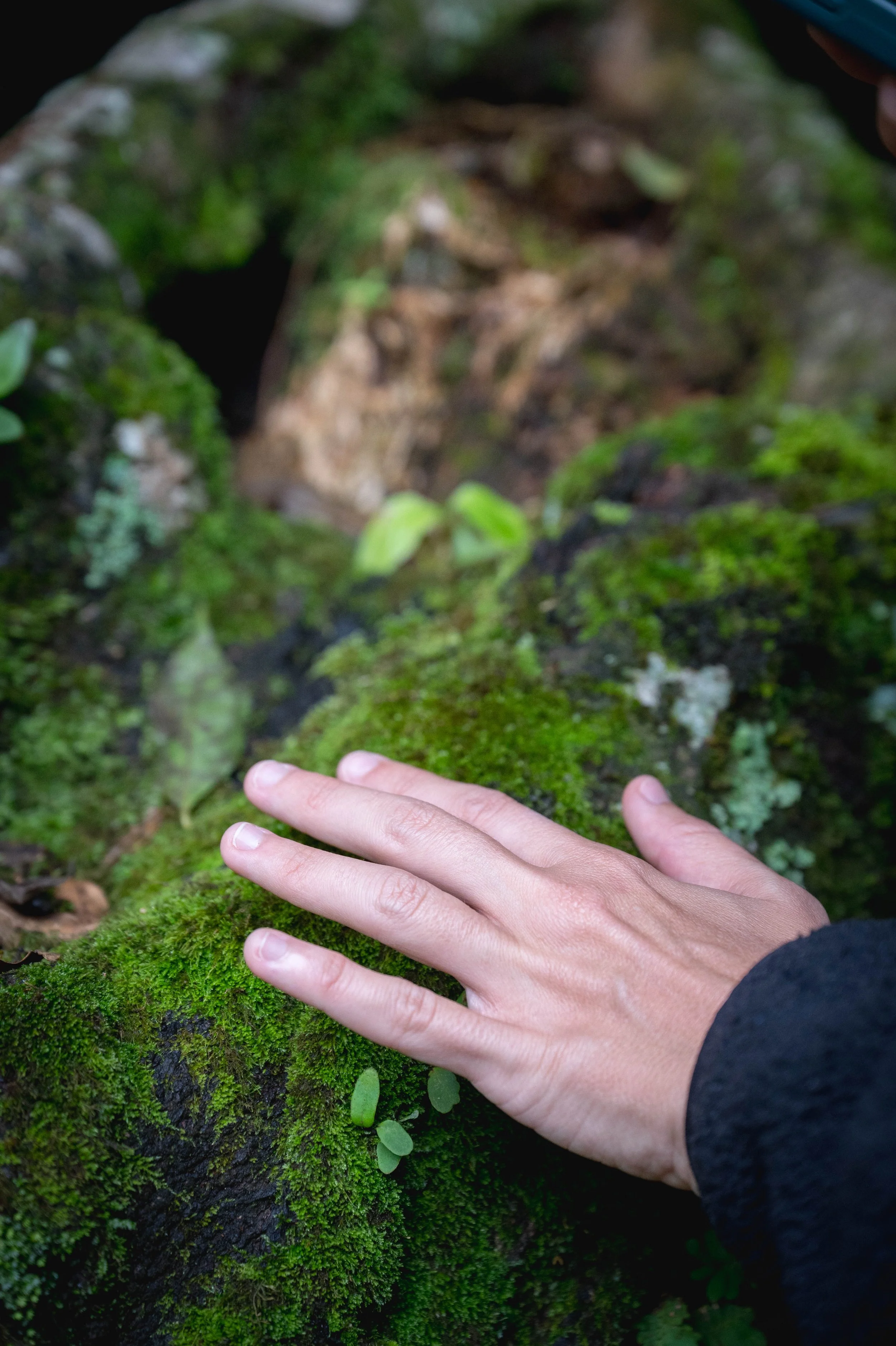 DSC_0330.jpg