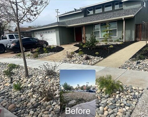 Fresh landscape front &amp; backyard install. Before &amp; after pictures so you can see the transformation. The decomposed granite walkways accented well with flagstone stepping stones &amp; planting that included some maples trees, citrus, camellia