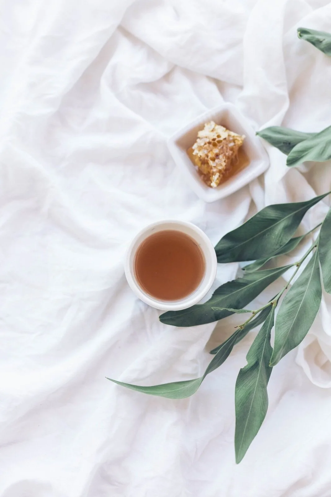 Editorial wellness moment - tea, honey, and fresh herbs at Live In Vitality