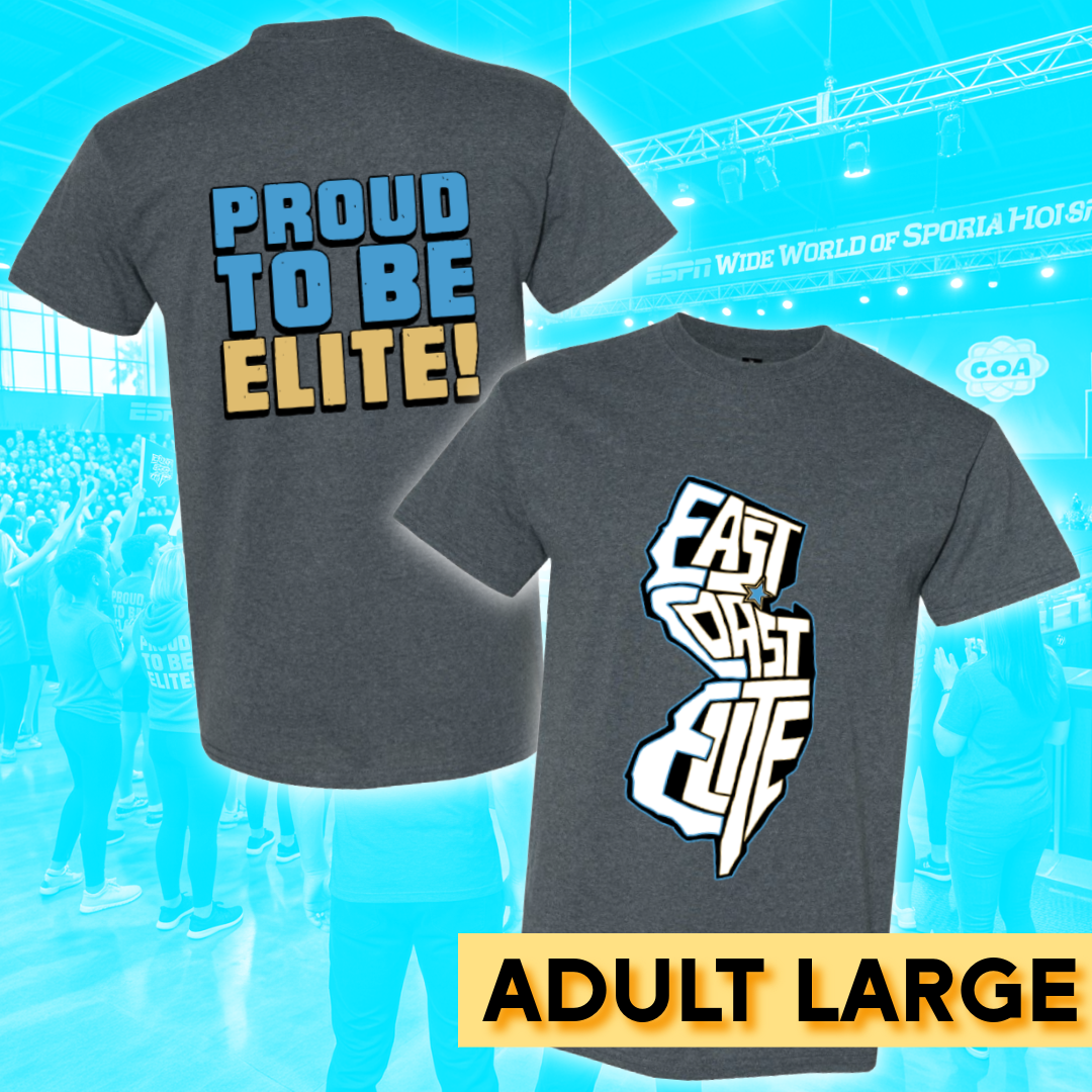 ECE NJ T-shirt (Adult large)