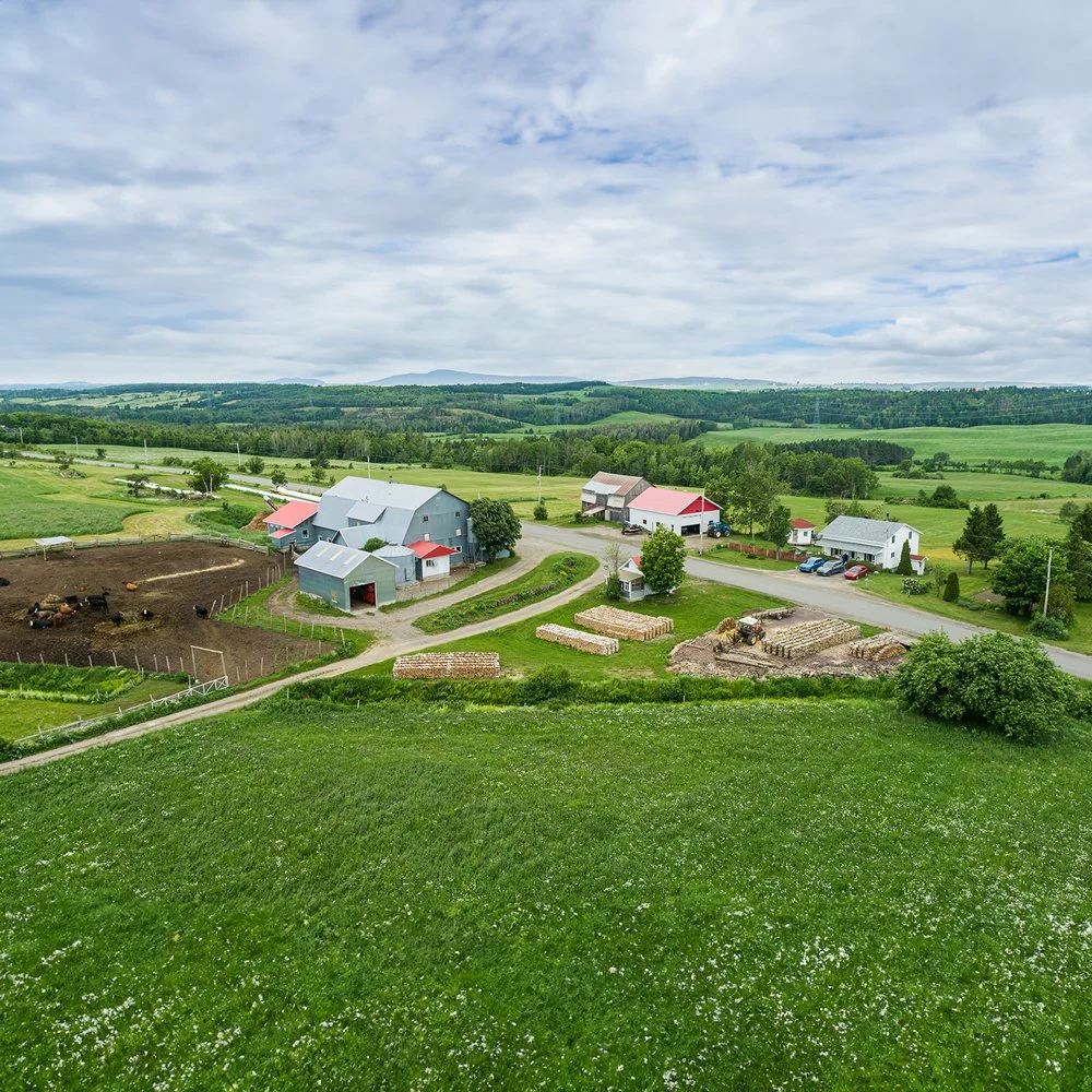 ferme-dominique.jpg