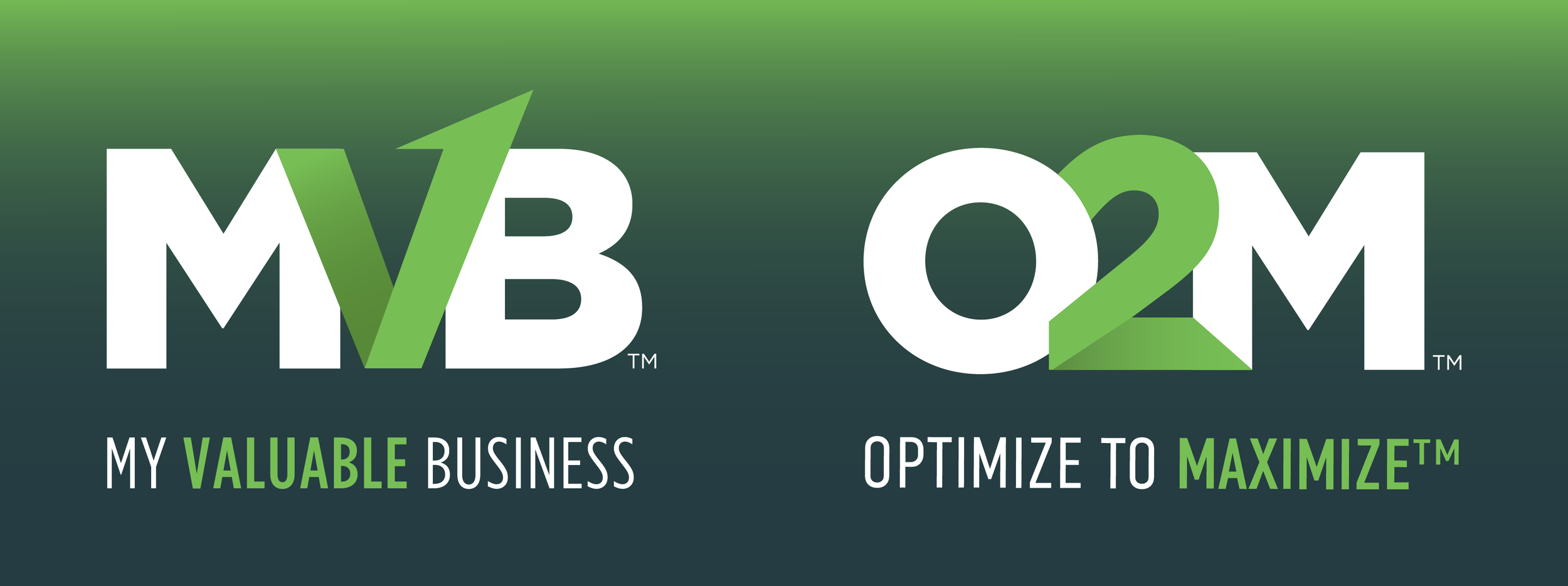 My Valuable Business Launches the O2M™ Game Plan: Optimize Your ...