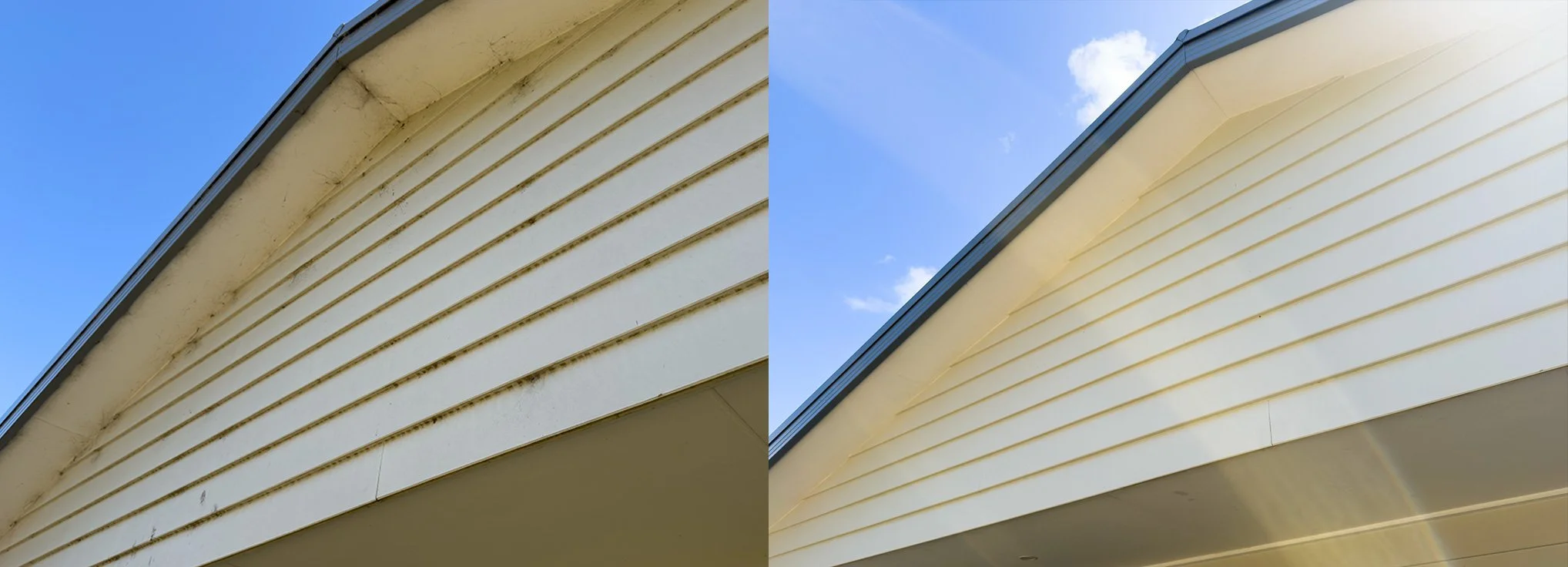 House washing & cobweb removal Torquay