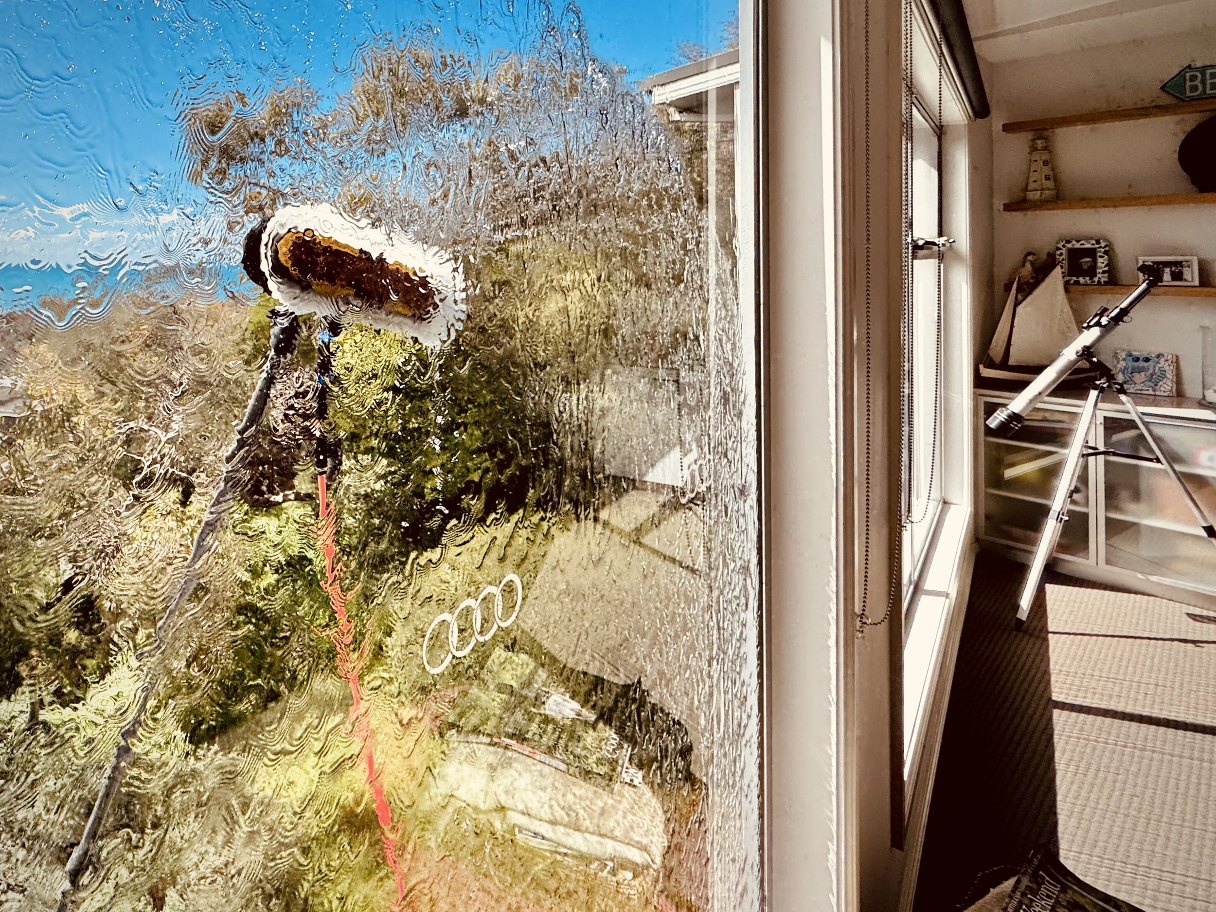 Window cleaning Anglesea, Fairhaven & Aireys Inlet | Sea Sweep Cleaning Services
