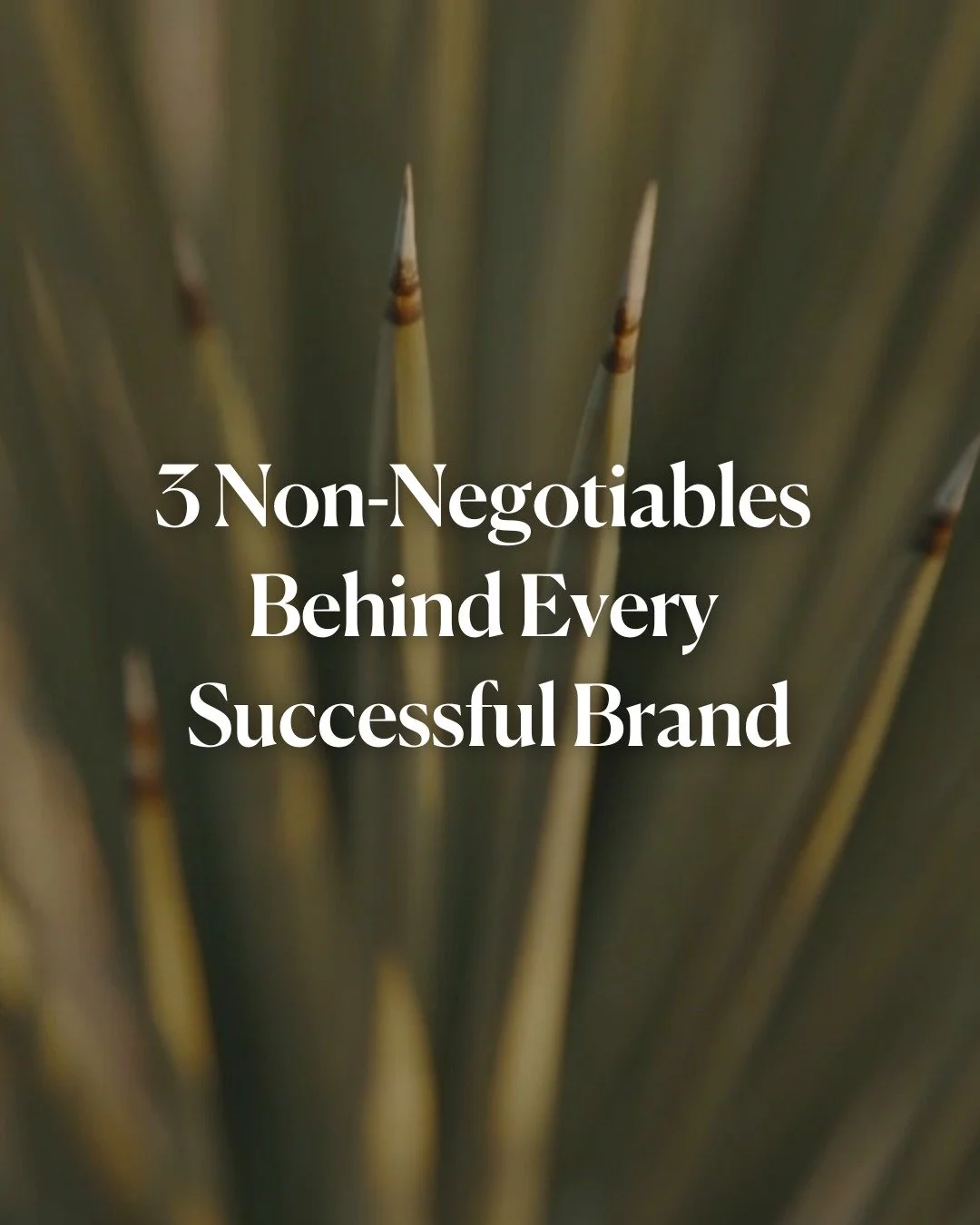 The strongest brands are built on principles they never compromise.

Here are 3 non-negotiables that separate the brands people remember from the ones they forget:

1. Define one clear positioning statement. If you cannot explain what sets you apart 