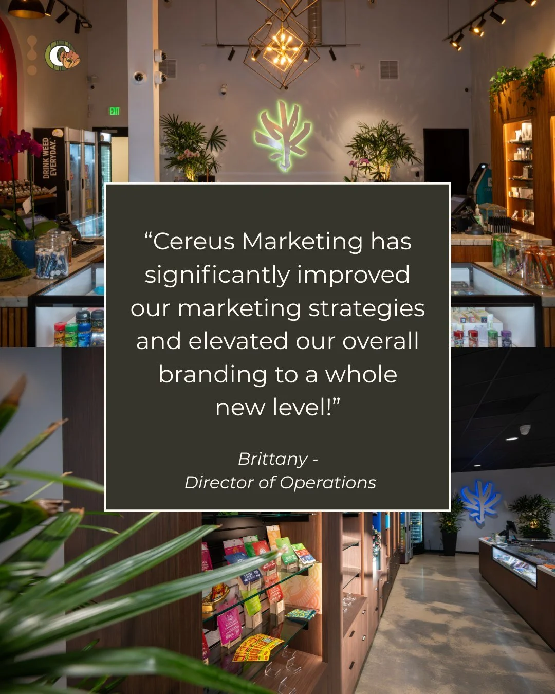 Strong branding and consistent storytelling create momentum. We&rsquo;re grateful for partners who trust us to elevate their identity and drive growth through intentional strategy, thoughtful creative, and campaigns that convert.

#digitalmarketing #