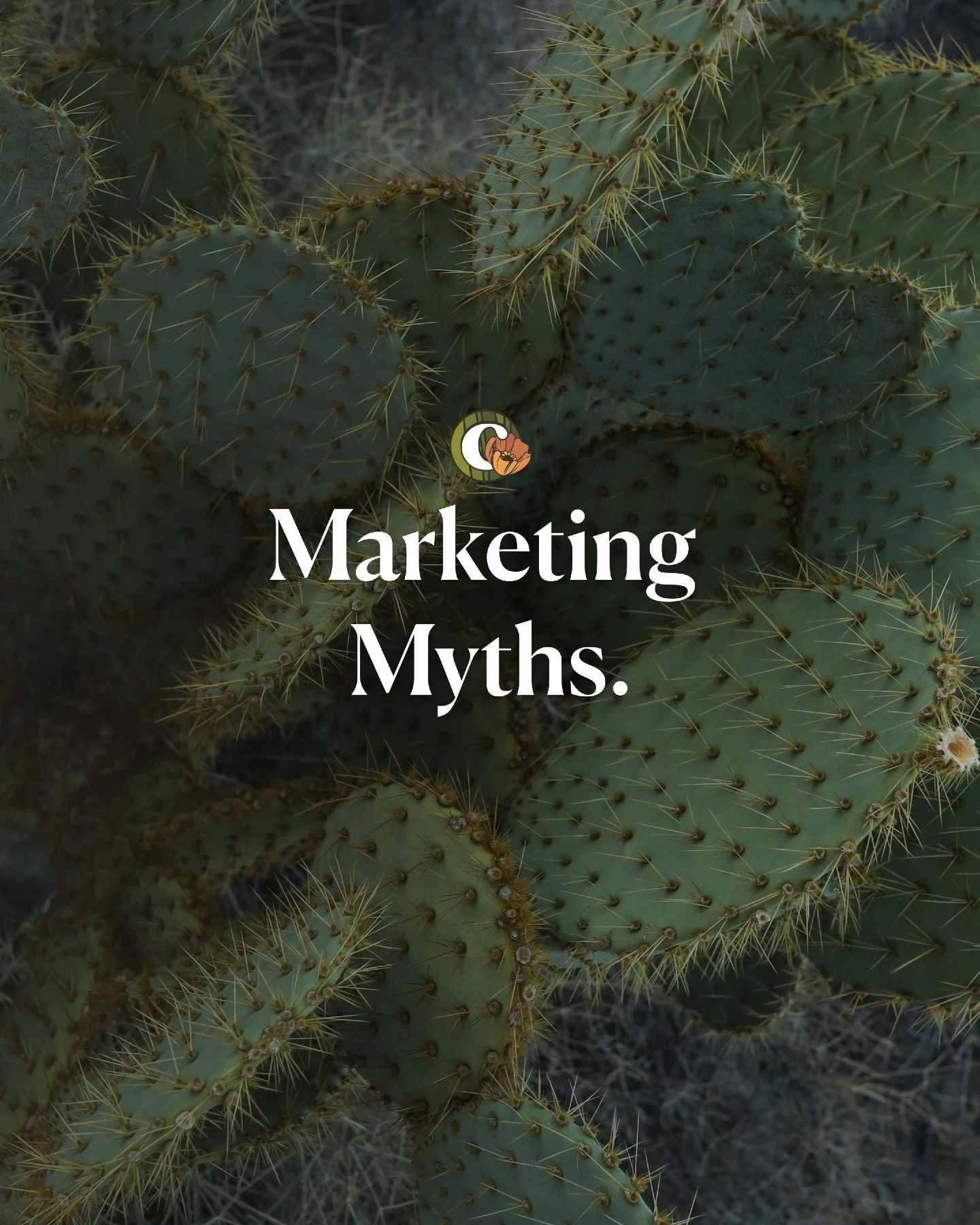 These myths hold so many businesses back. The reality is, marketing isn&rsquo;t magic, it&rsquo;s strategy. And when it&rsquo;s done right, it stops being a guessing game and starts driving real, measurable growth.