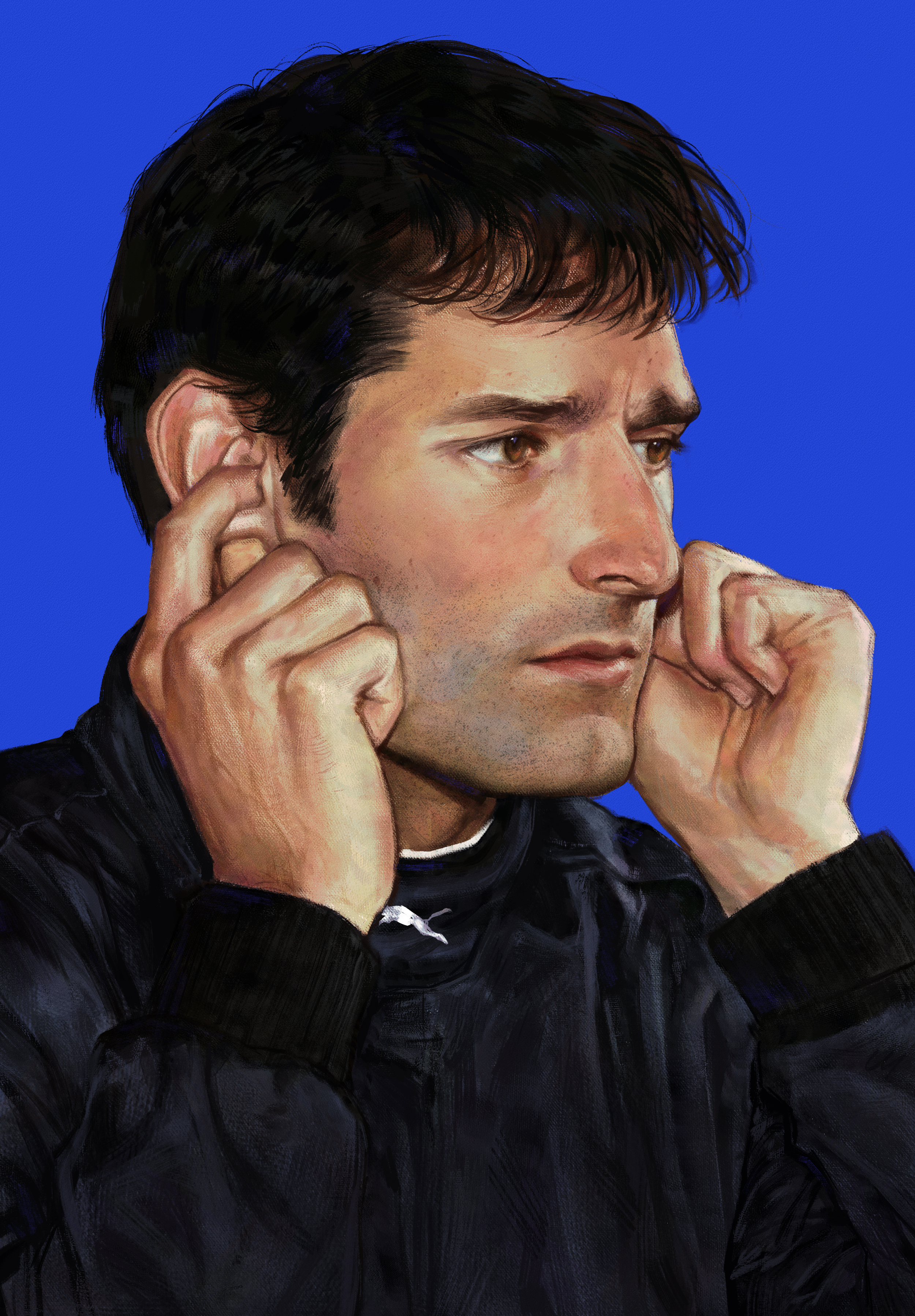 mark webber2.png