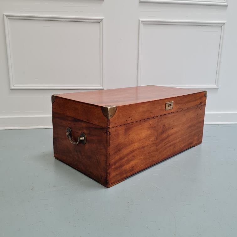 camphor-wood-trunk-box-antique-campaign-vintage-brass-4.jpg