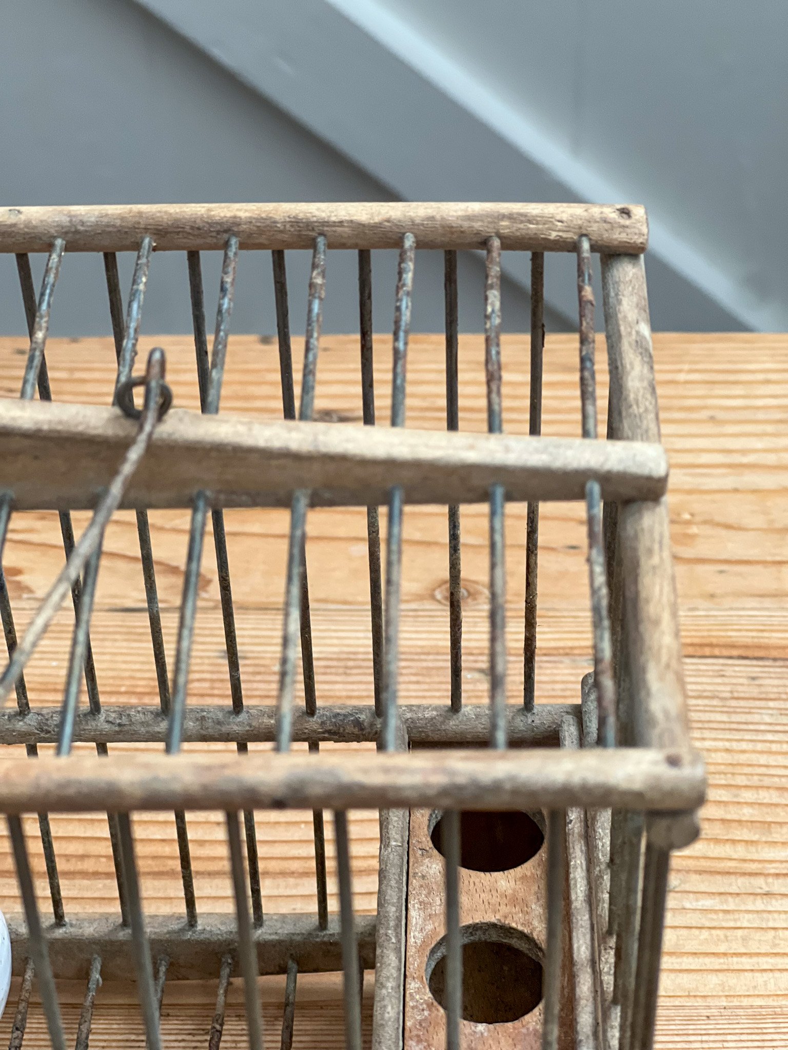 small-french-bird-cage-antique-vintage-3.jpg