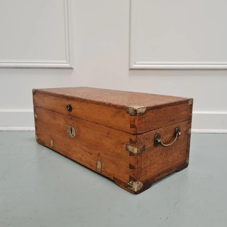 Camphor-wood-trunk- brass-bound-english-antique