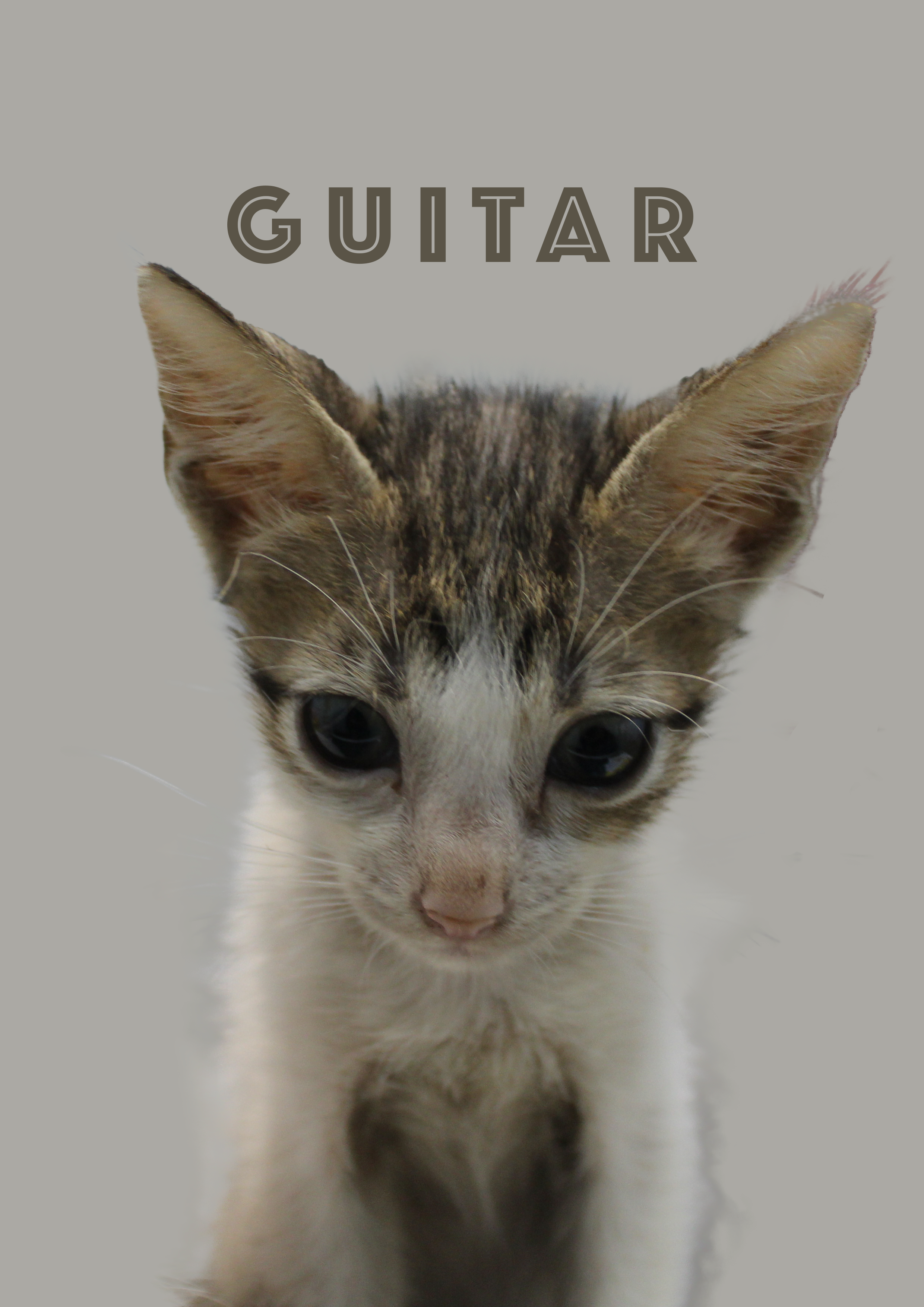 Close-up of a young tabby kitten with the word 'GUITAR' above its head.