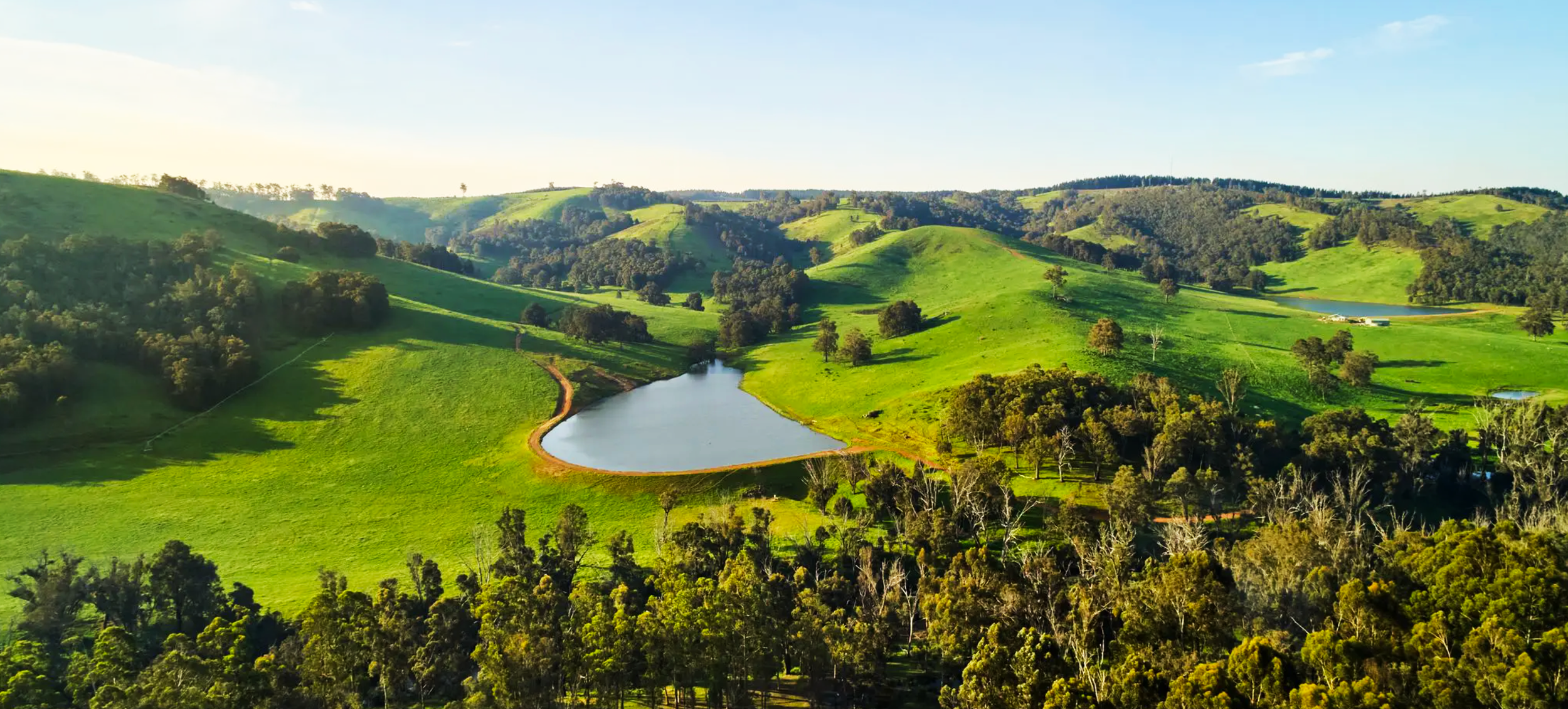 Nannup-Jarrah-Valley.png