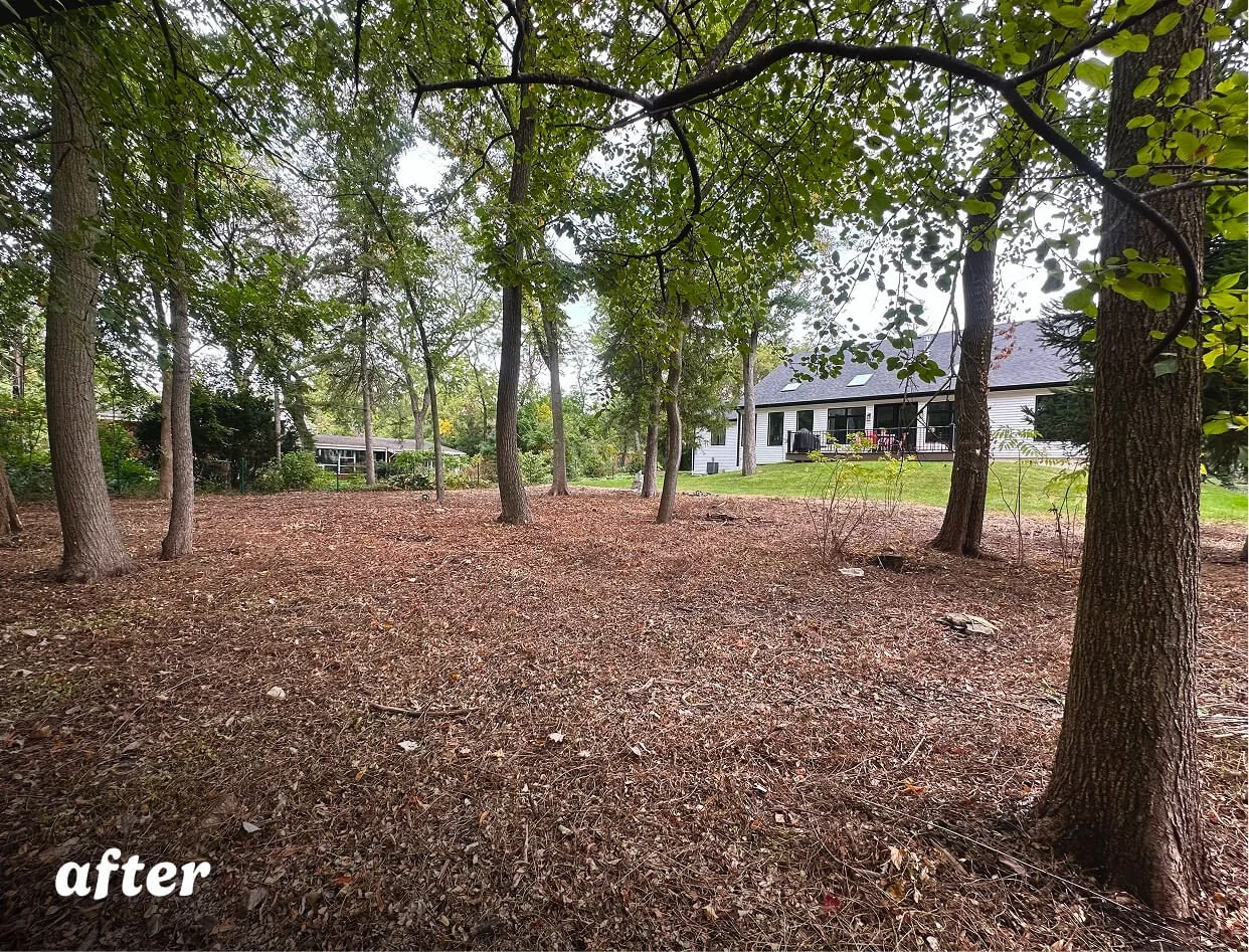 5,000 sq ft invasive plant removal for a healthy woodland garden — Wild ...