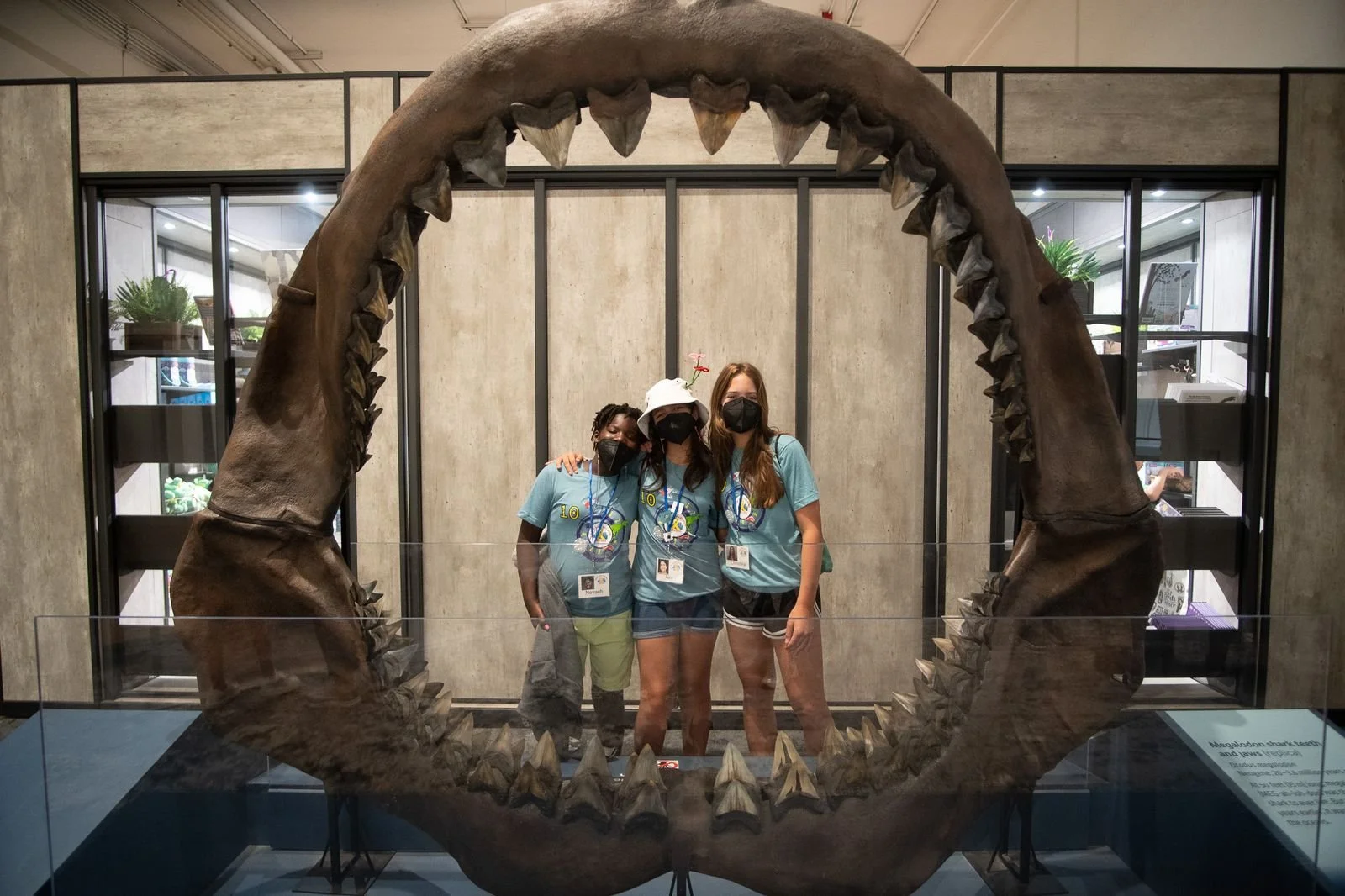 🏛️💛 Look Where We&rsquo;re Headed Again 💛🏛️

These photos are from 2023, when our campers spent the day exploring the Field Museum &mdash; full of curiosity, big laughs, and even bigger smiles.

And we can&rsquo;t wait to do it again.

We&rsquo;r