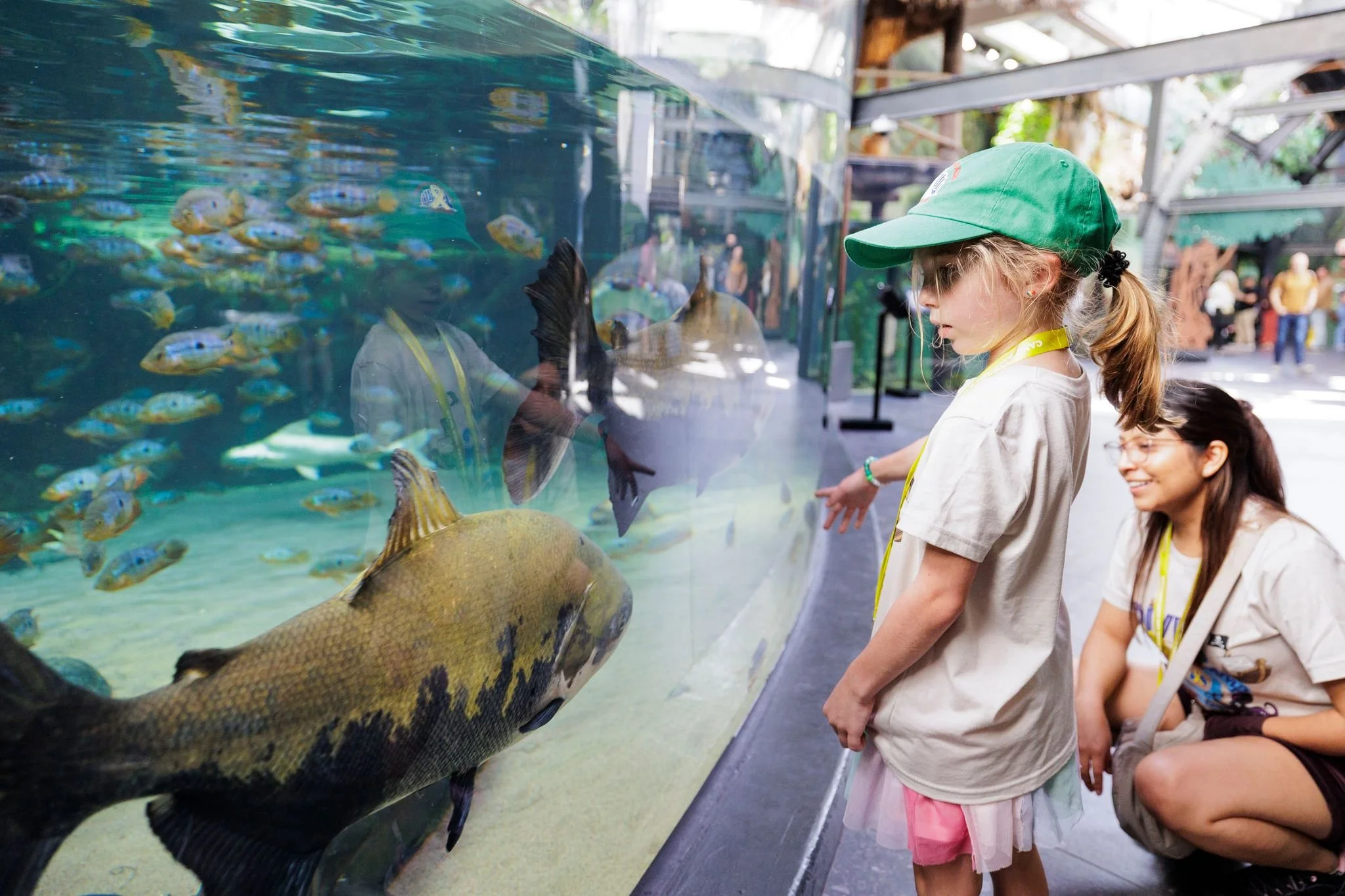 🐠 Moment of Camp Monday 🐠
Going to the Shedd Aquarium was the perfect way to Dive Into Camp! 🌊 From exploring ocean life to sharing smiles with friends, this day was full of wonder, connection, and camp magic. 💛

Moments like these remind us how 