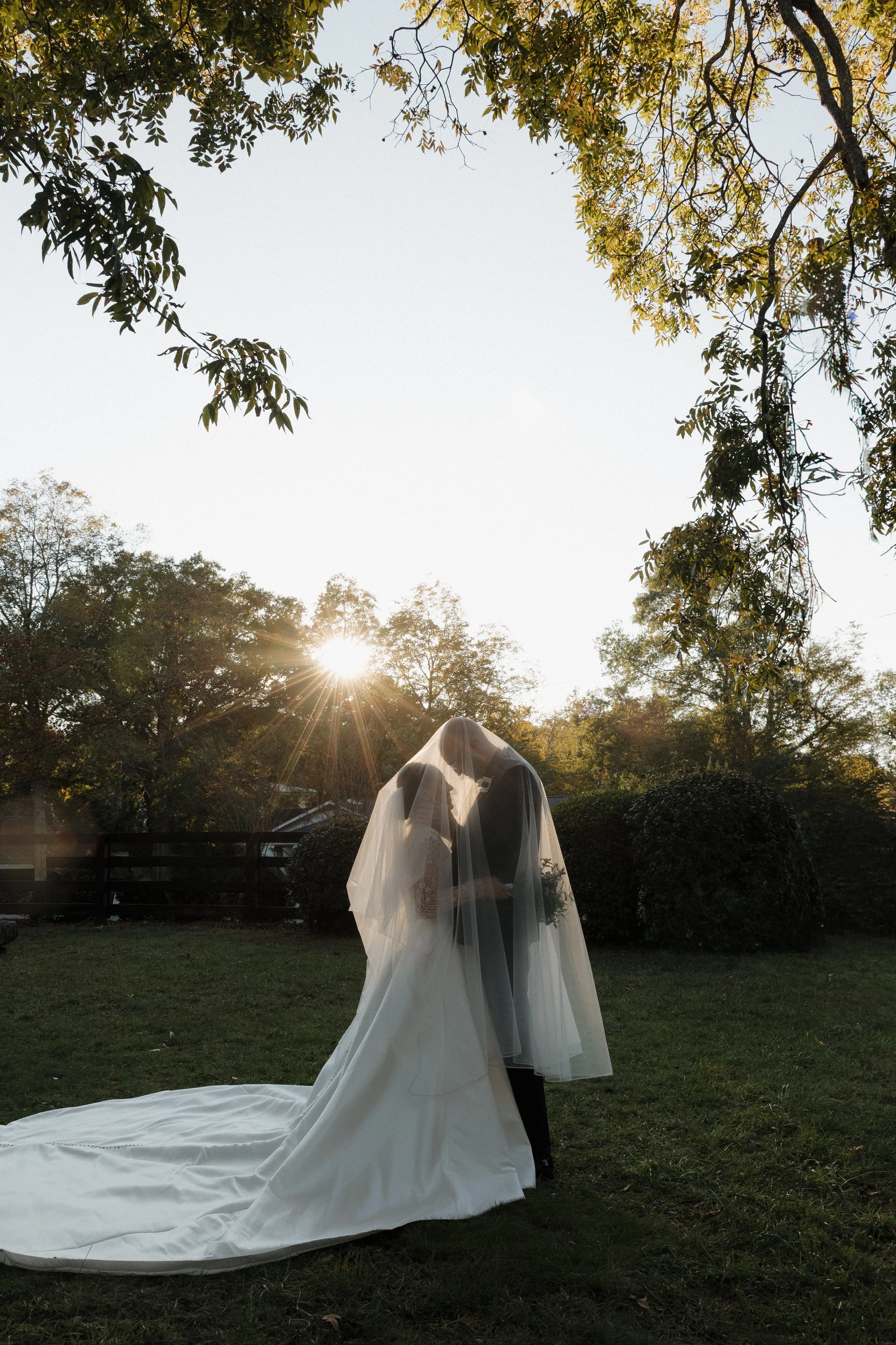 DC Wedding Photographer. Michaela Mae and Co. A bride and groom kissing outdoors during sunset, with the bride wearing a wedding gown and veil, in a garden setting with trees and bushes.