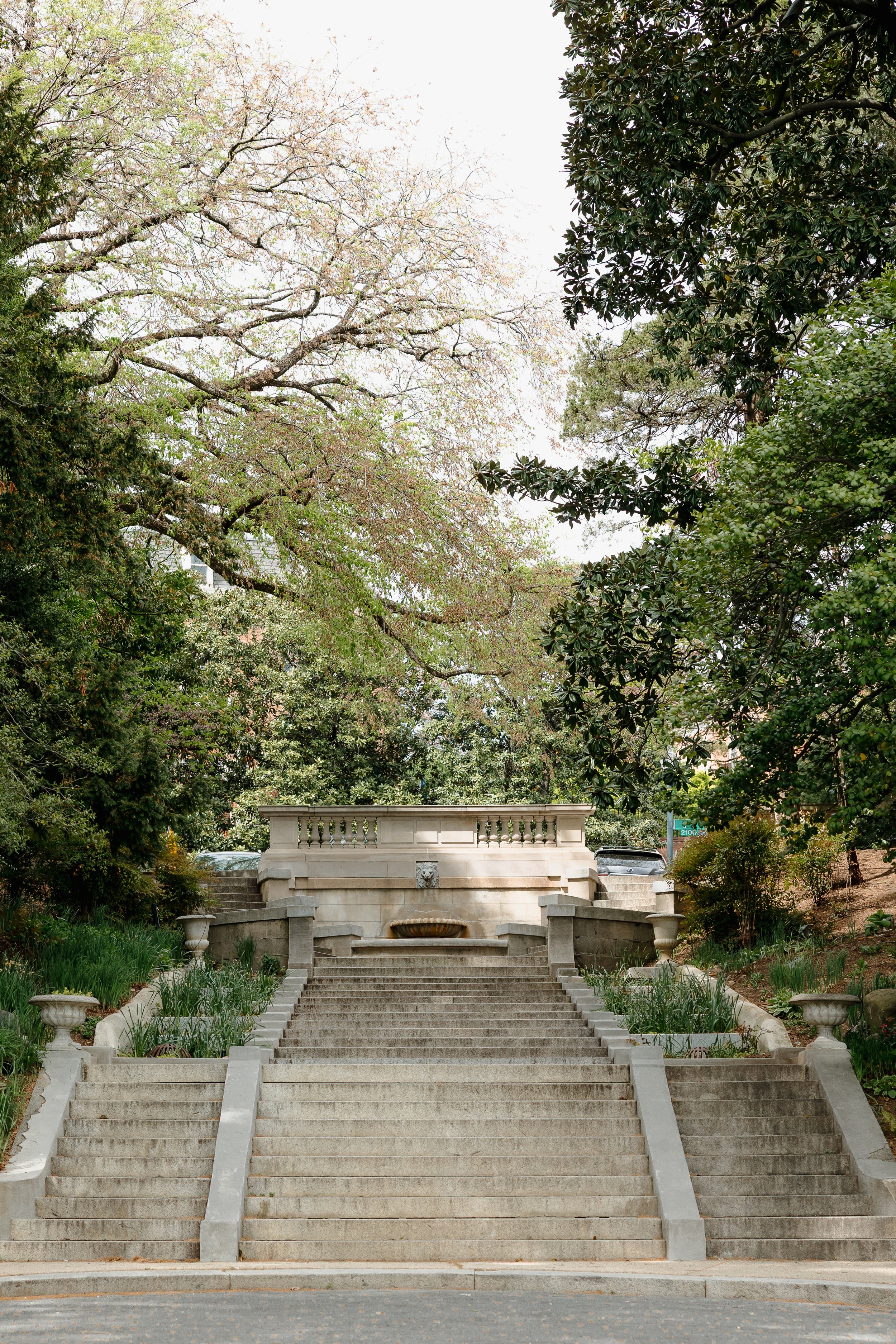Washington, DC photo locations - Spanish Steps