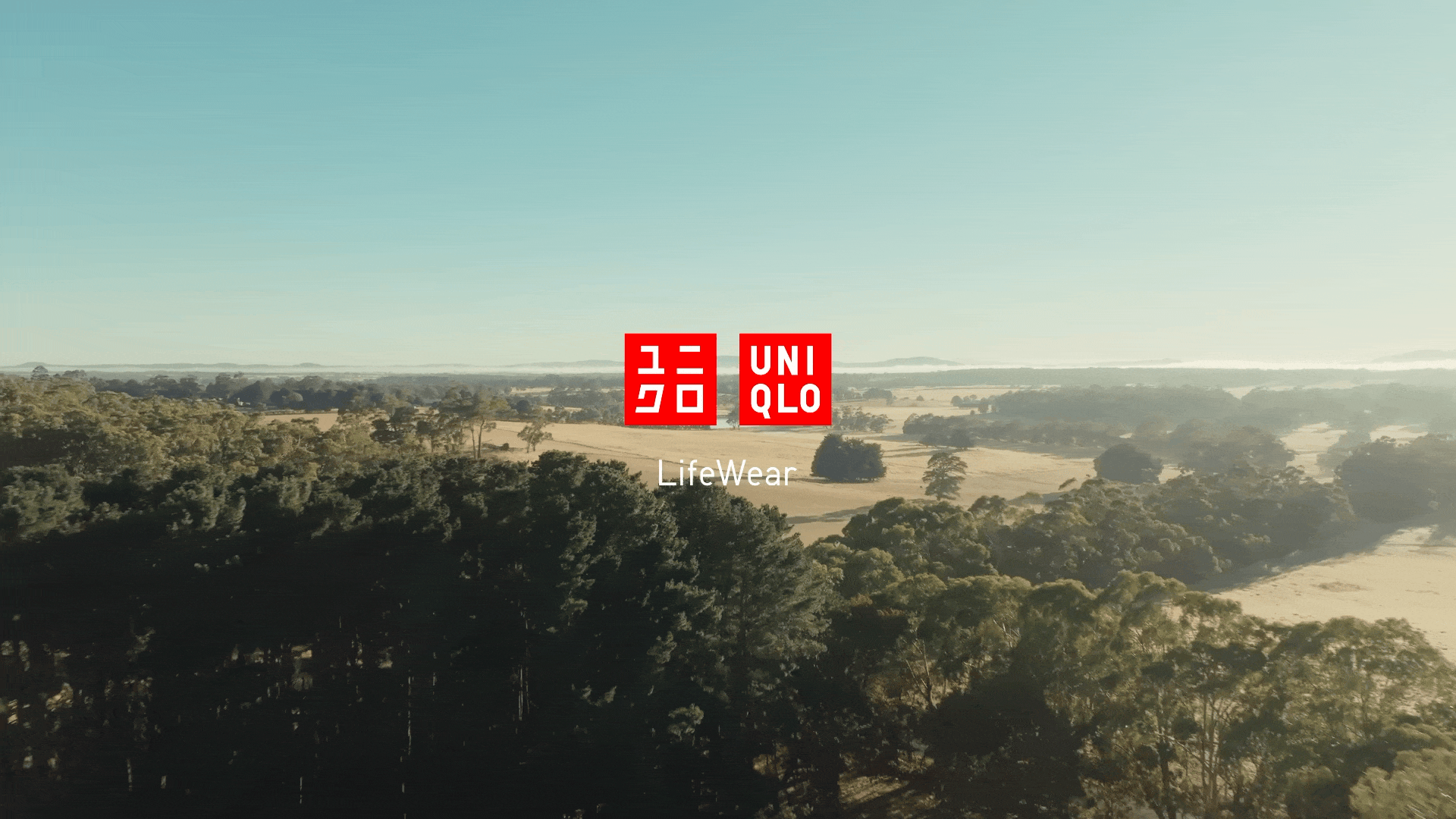 UNIQLO - Australian Merino Wool