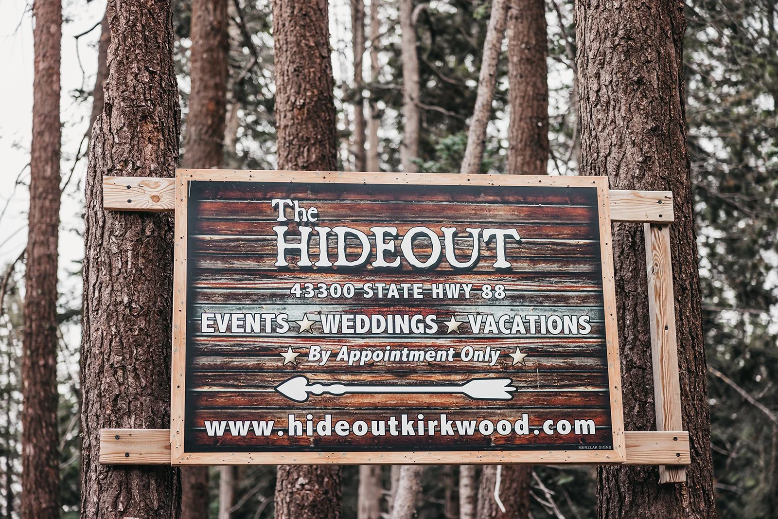 vildphotography-tahoe-wedding-D&A-1_websize.jpg
