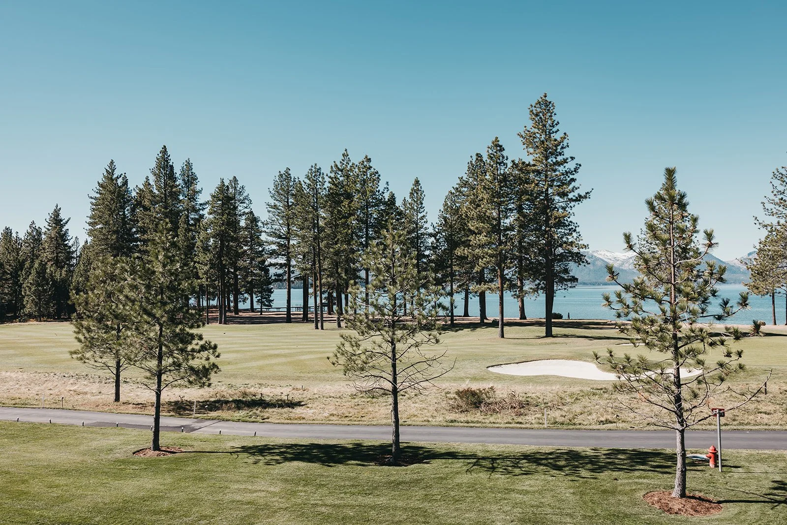 vildphotography-tahoe-wedding-S&E-9_websize.jpg