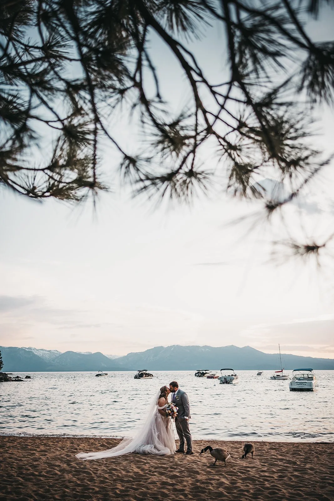 vildphotography-tahoe-wedding-A&J-829_websize.jpg