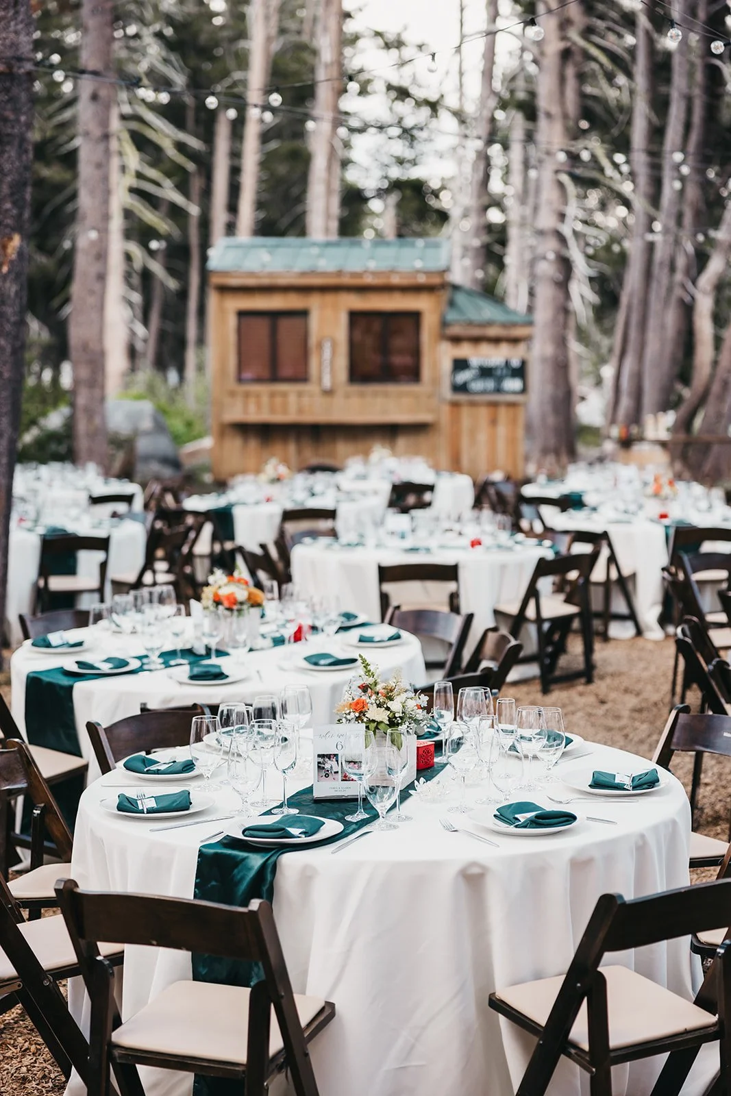 vildphotography-tahoe-wedding-I&C-335_websize (1).jpg