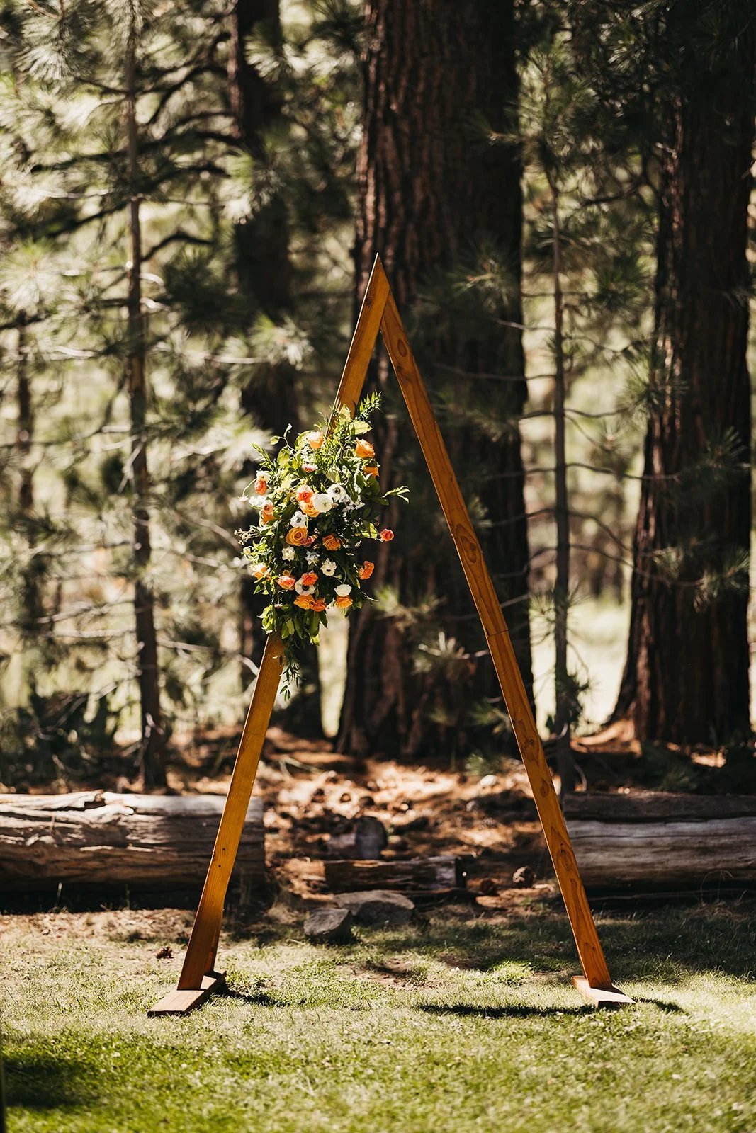 vildphotography-tahoe-wedding-A&E-102_websize.jpg