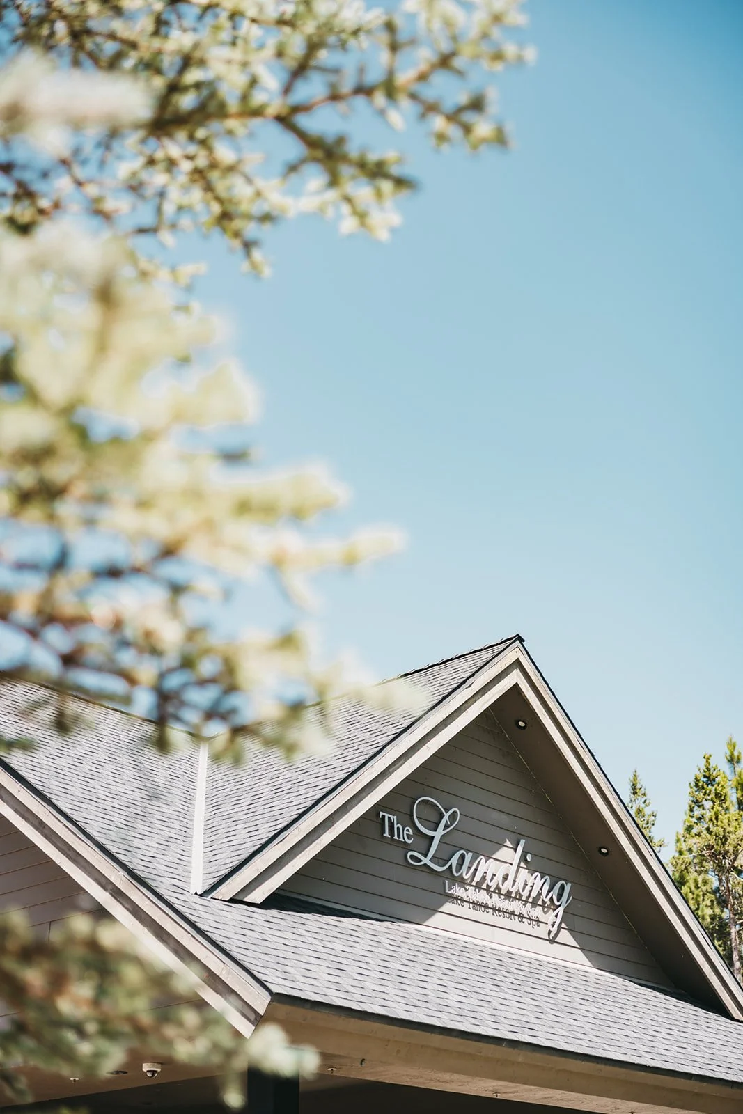 vildphotography-tahoe-wedding-M&J-1_websize (1).jpg