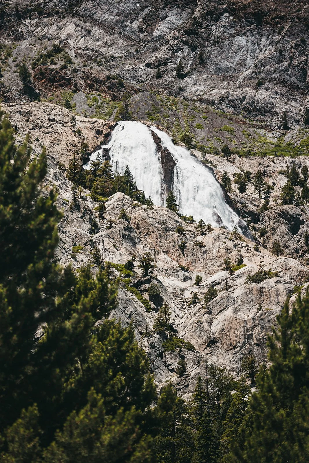 vildphotography-tahoe-wedding-H&B-3.jpg