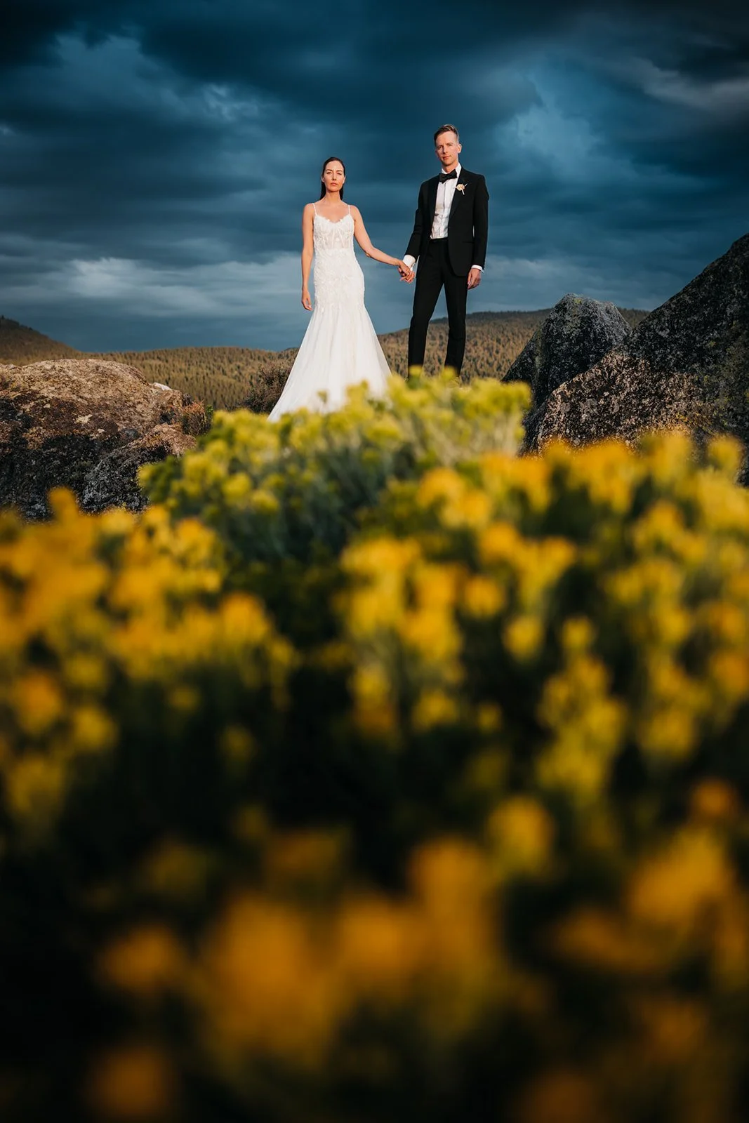 vildphotography-tahoe-wedding-DA-1.jpg