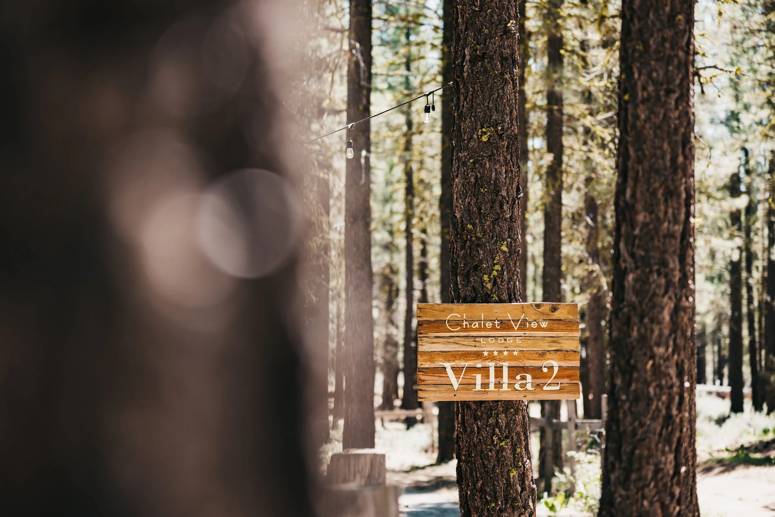 vildphotography-tahoe-wedding-J&S-1.jpg