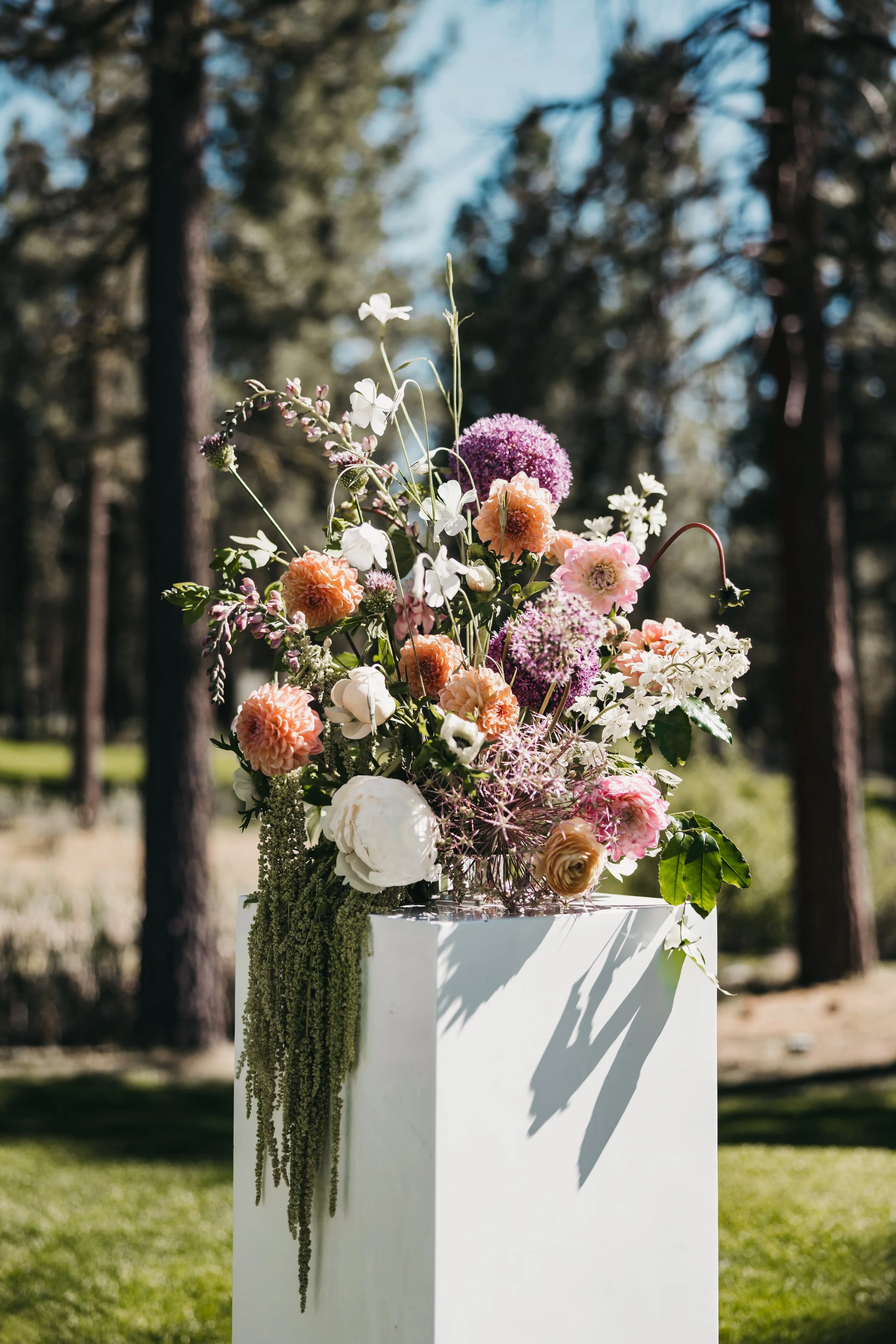vildphotography-tahoe-wedding-J&S-357.jpg