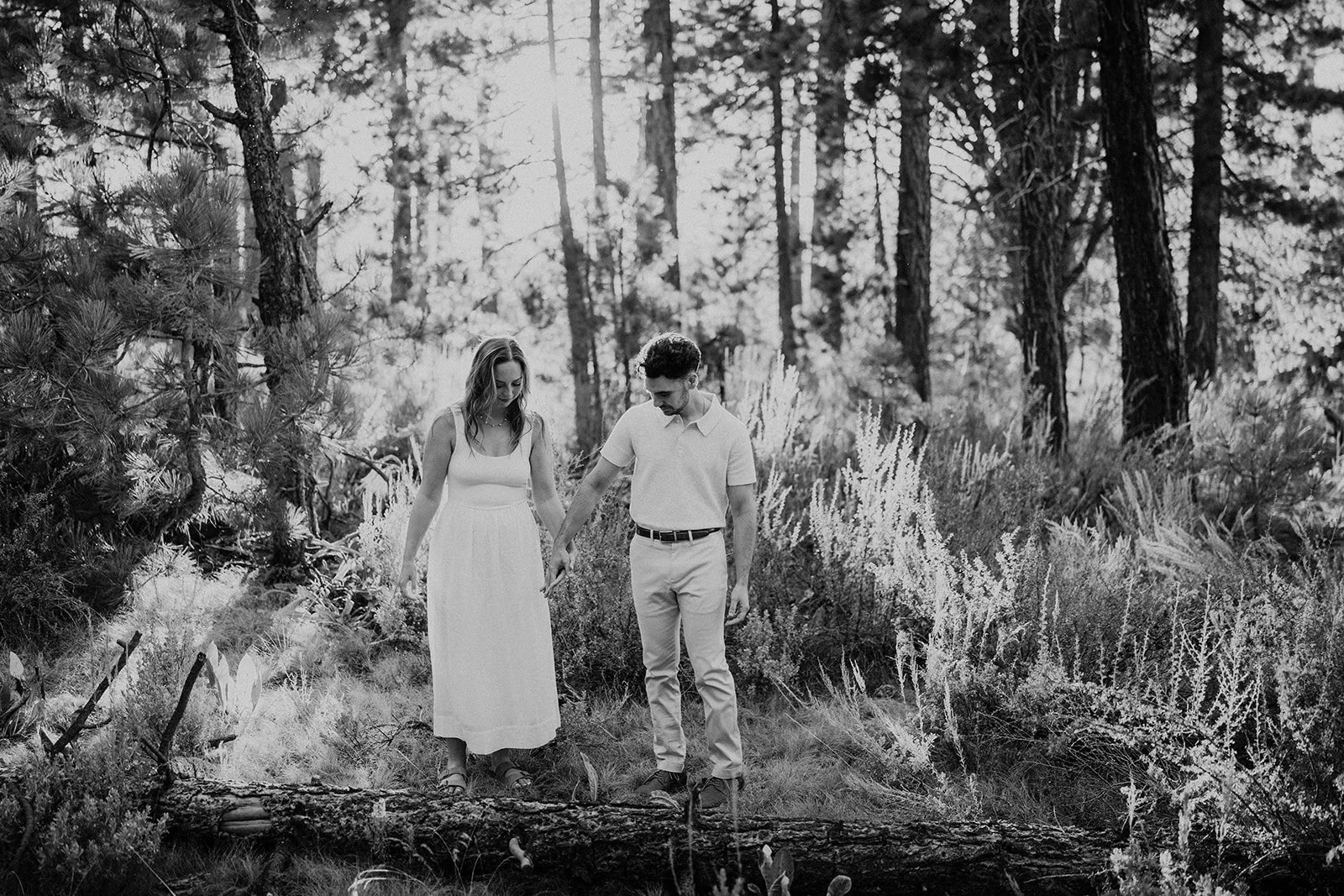 vildphotography-tahoe-engagement-C&M-9.jpg