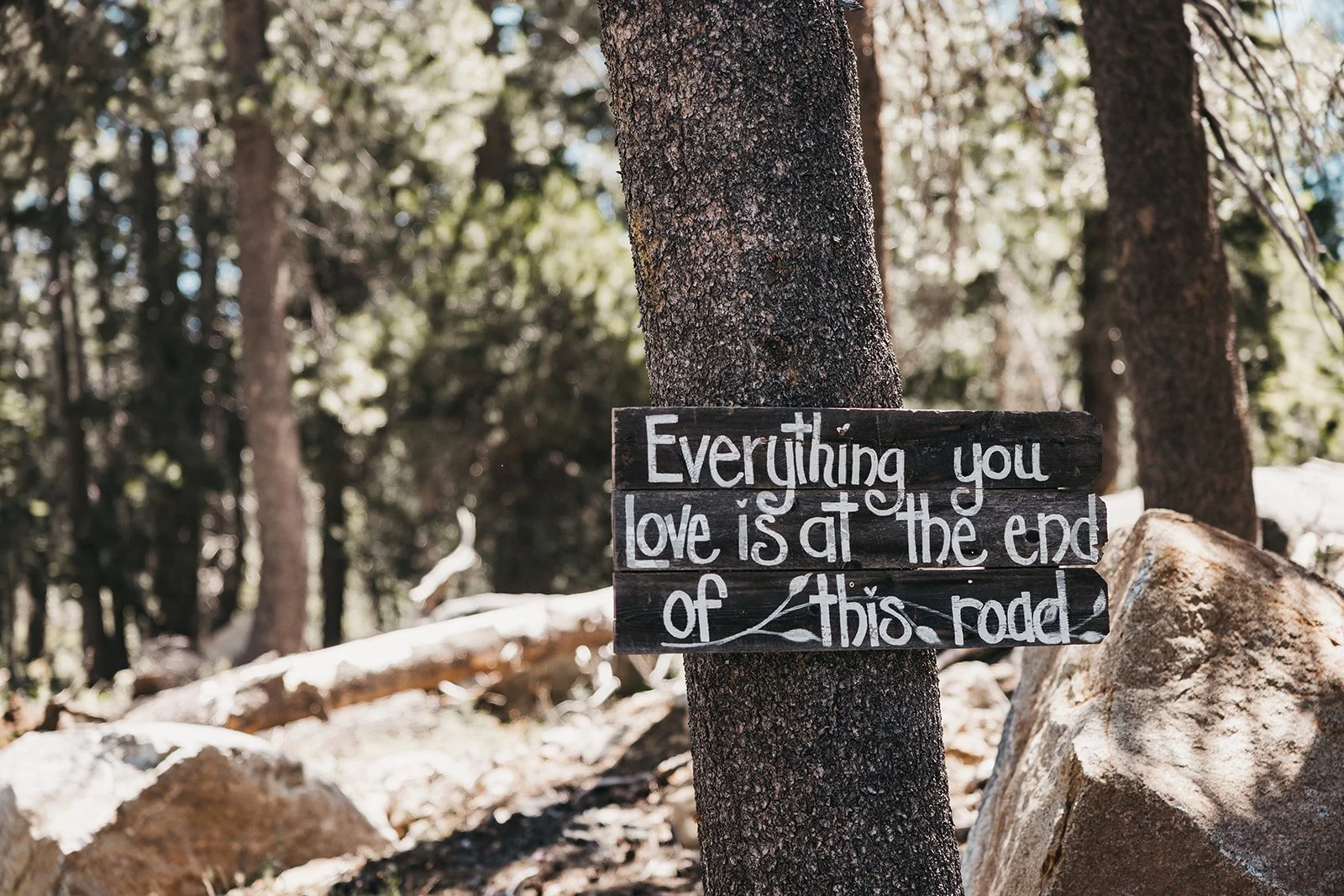 vildphotography-tahoe-wedding-B&C-5_websize.jpg
