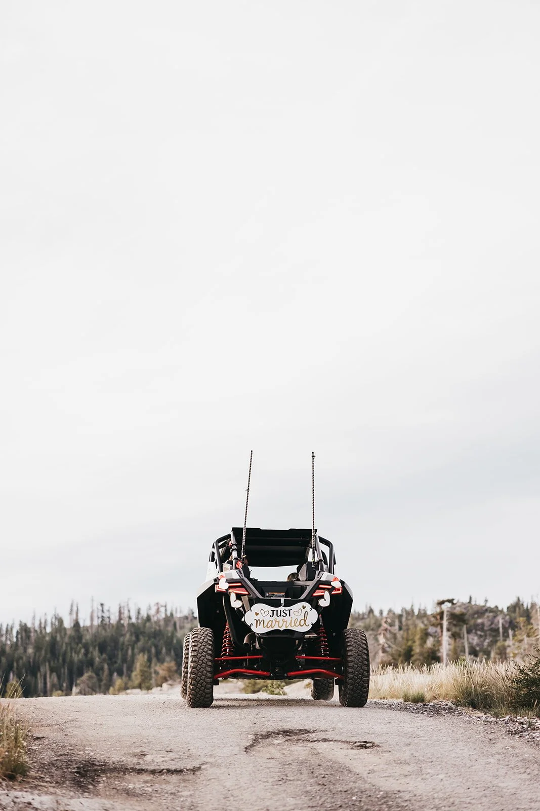 vildphotography-tahoe-wedding-B&C-750.jpg