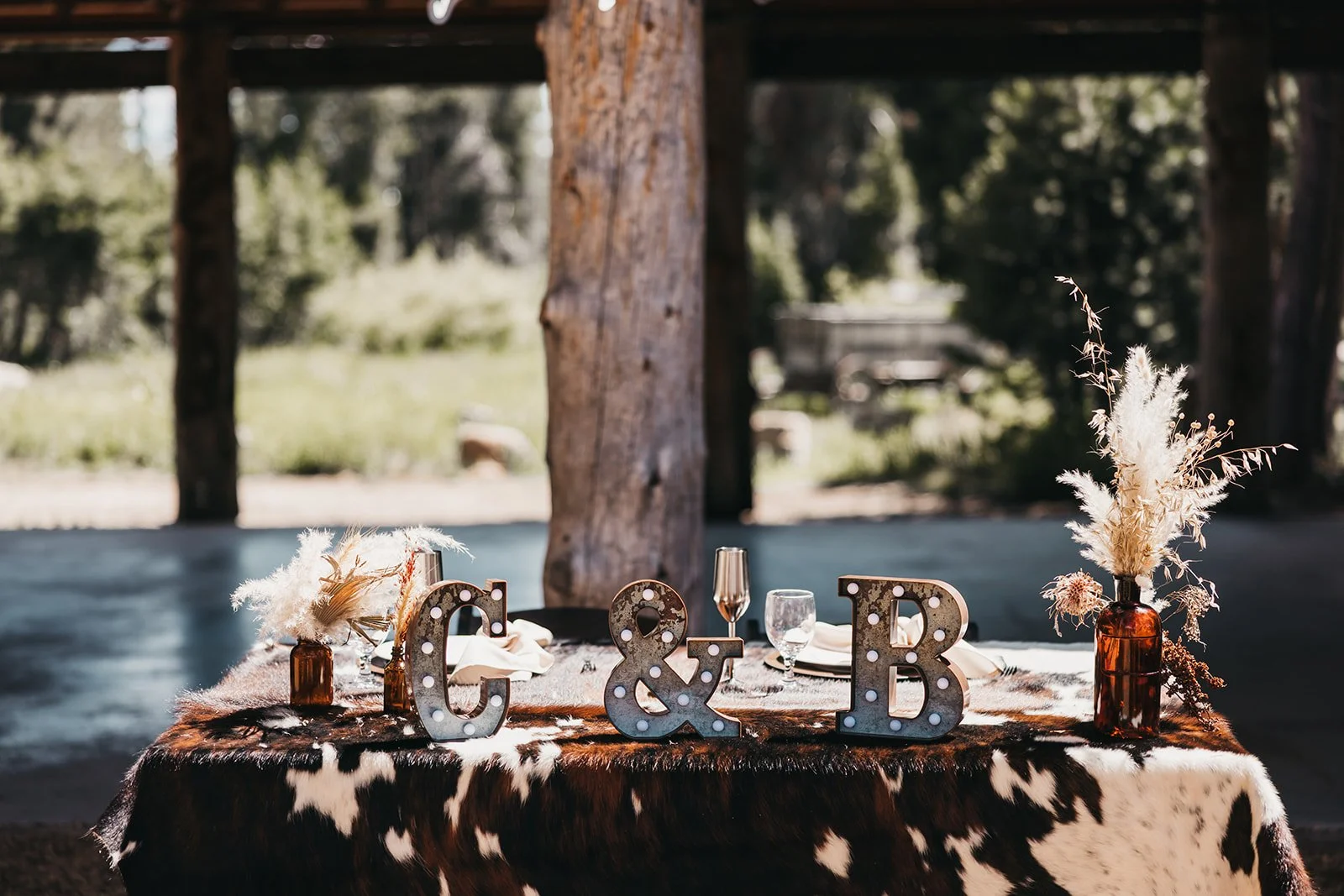 vildphotography-tahoe-wedding-B&C-410.jpg