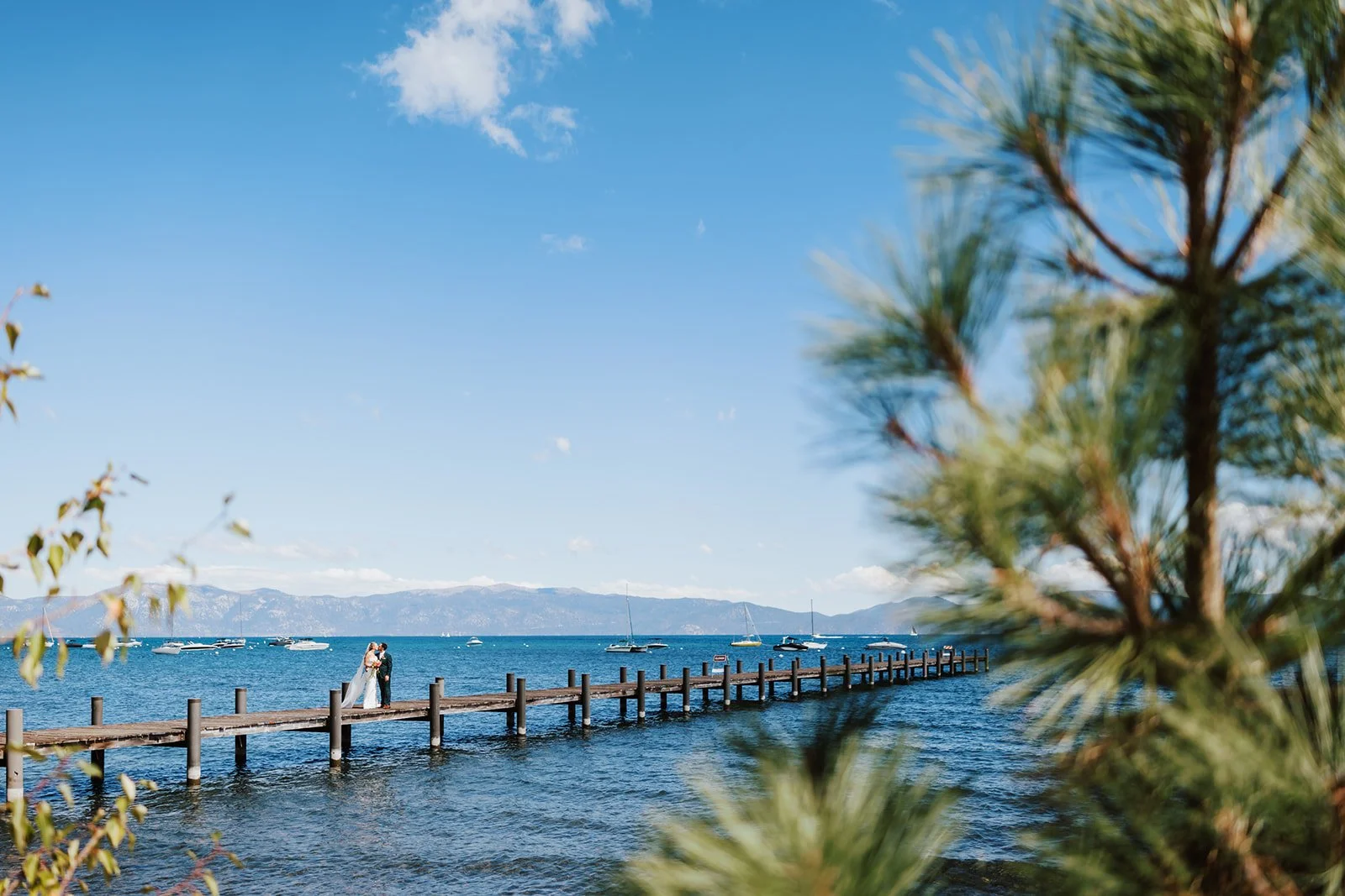 vildphotography-tahoe-wedding-E&C-47.jpg