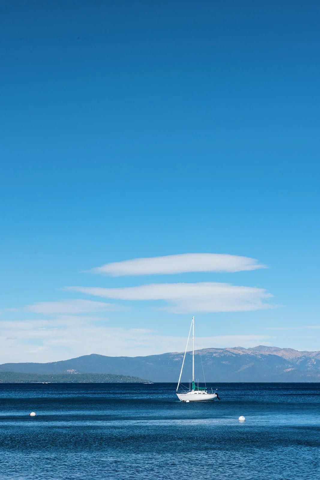 vildphotography-tahoe-wedding-K&C-49.jpg