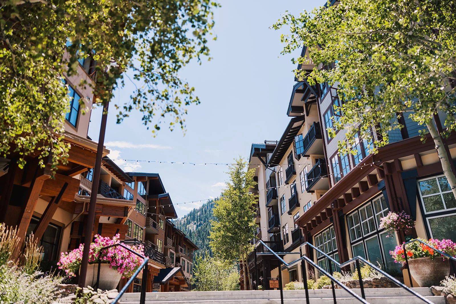 vildphotography-tahoe-wedding-L&D-1.jpg