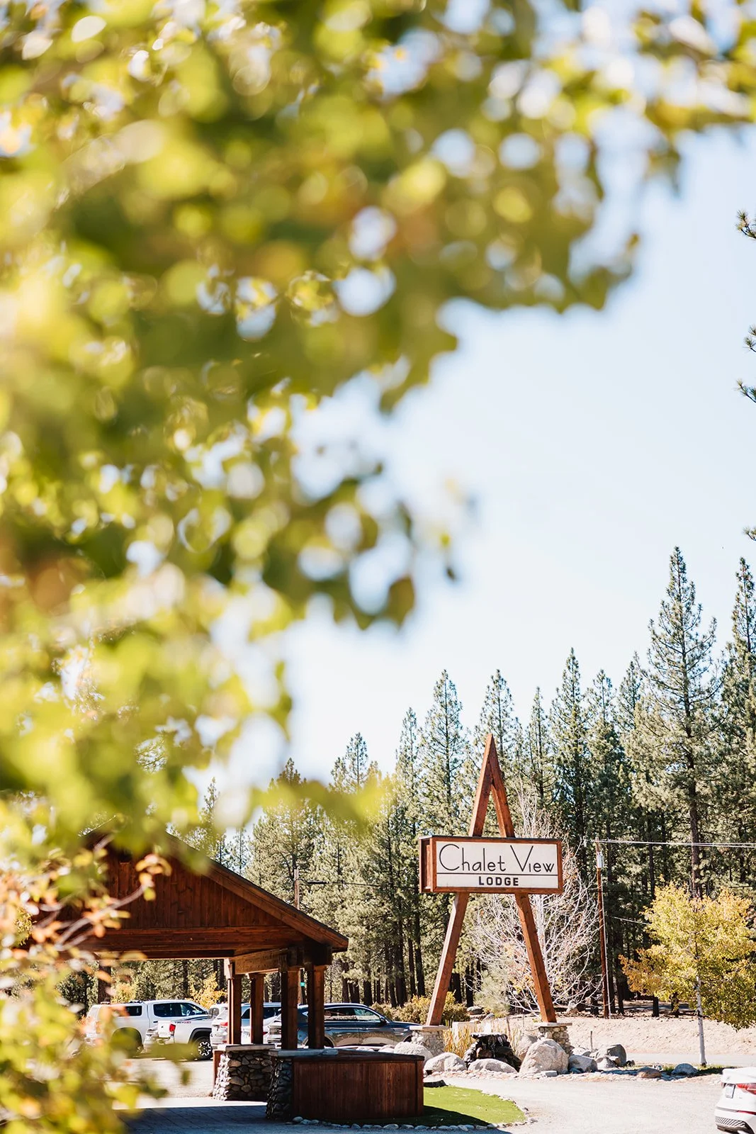 vildphotography-tahoe-wedding-T&A-39.jpg